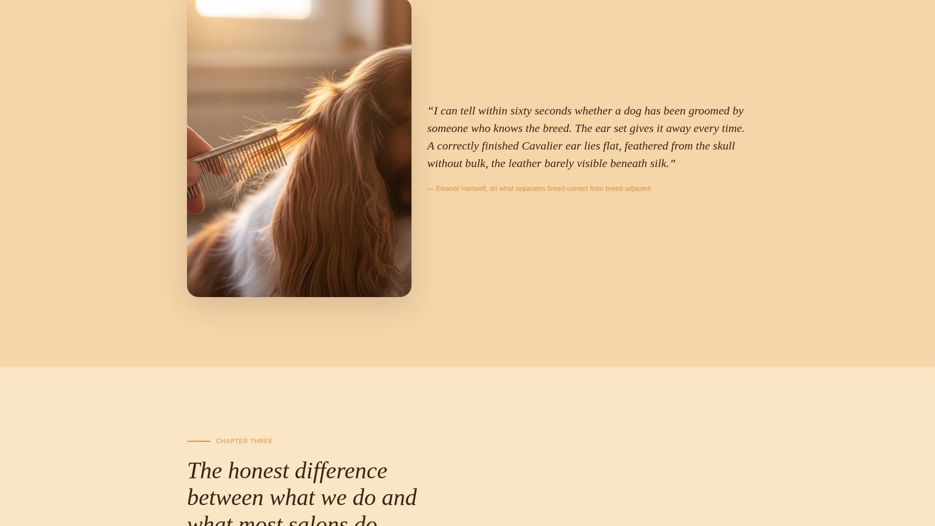 Dog Commercial Booking Website Template