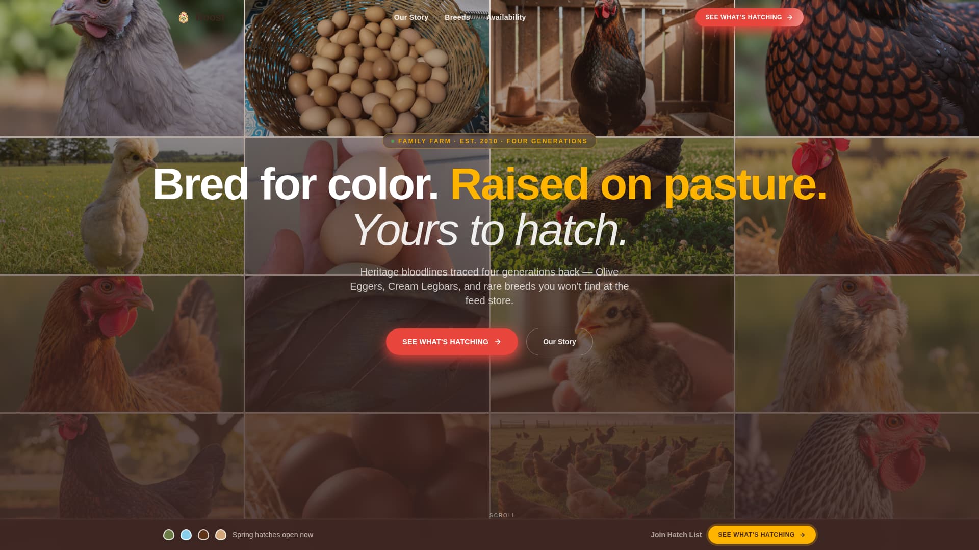 Chicken & Poultry Professional Website Template