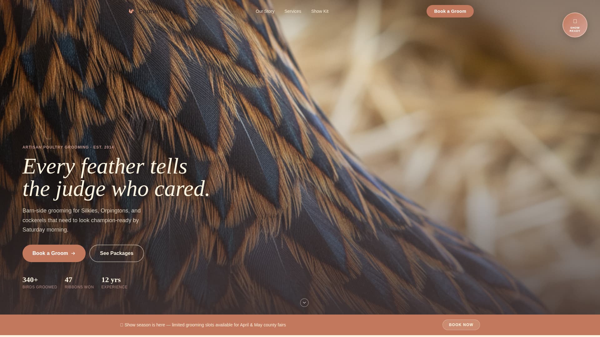 Chicken & Poultry Advanced Booking Website Template