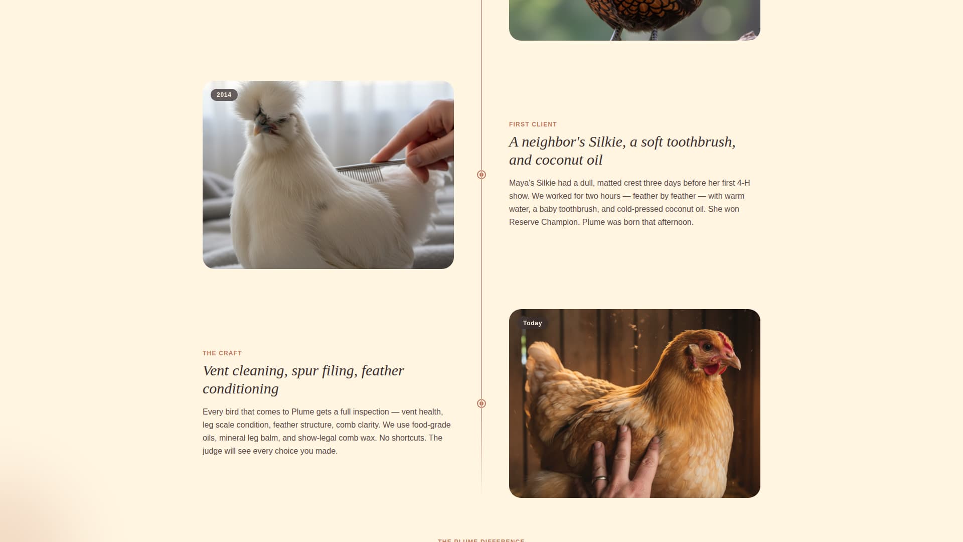 Chicken & Poultry Advanced Booking Website Template