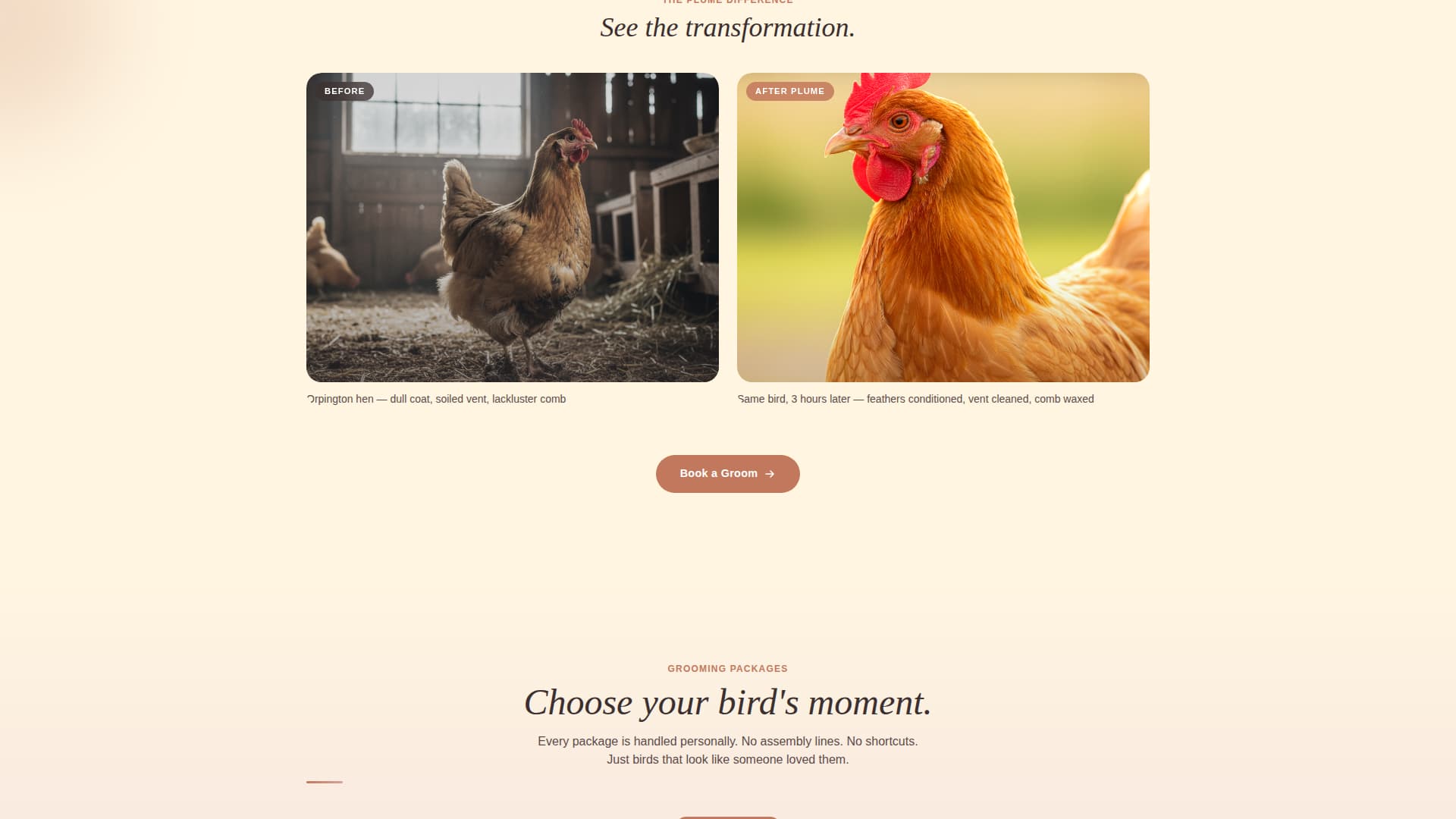 Chicken & Poultry Advanced Booking Website Template