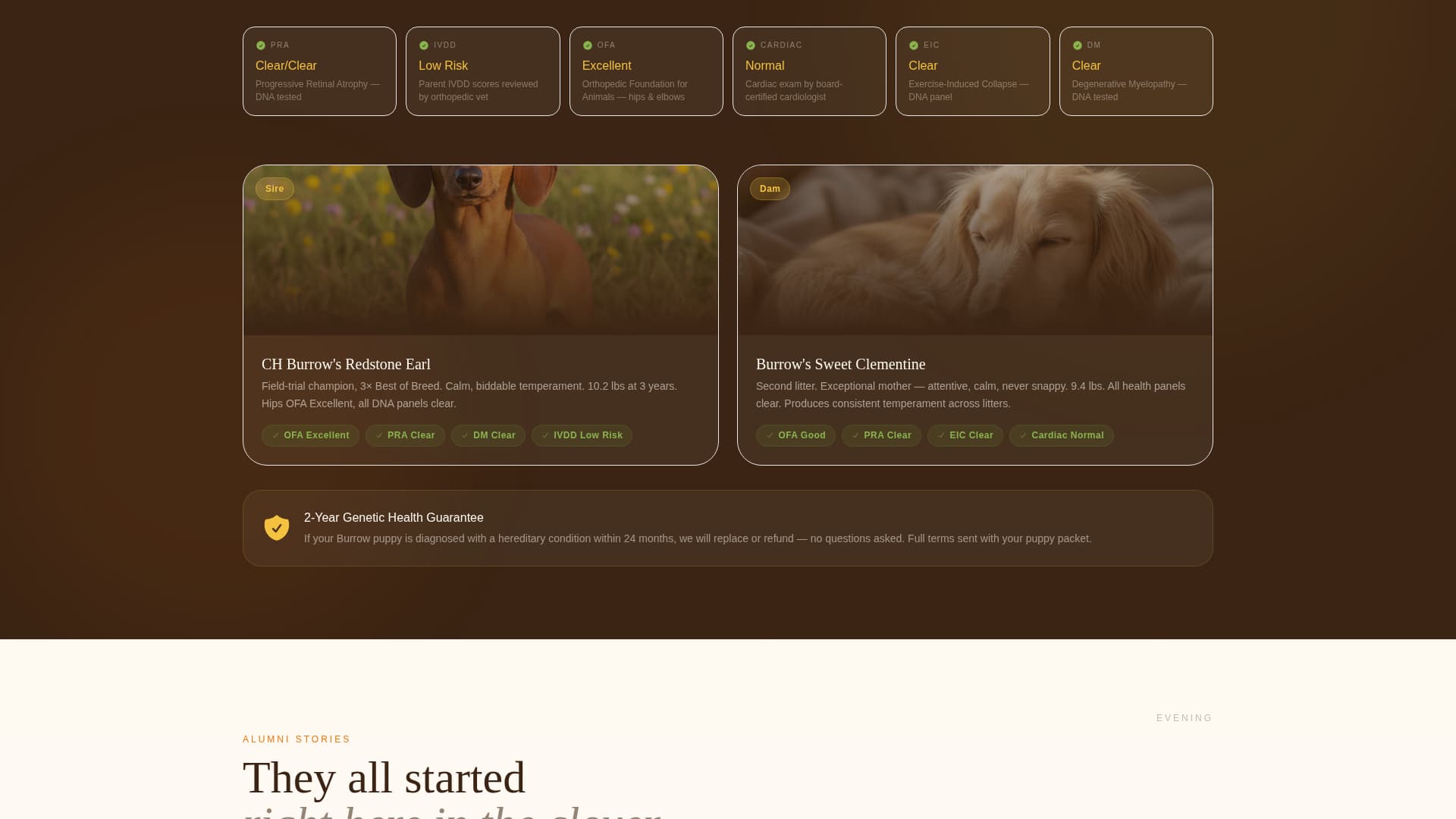 Dog Booking Website Template
