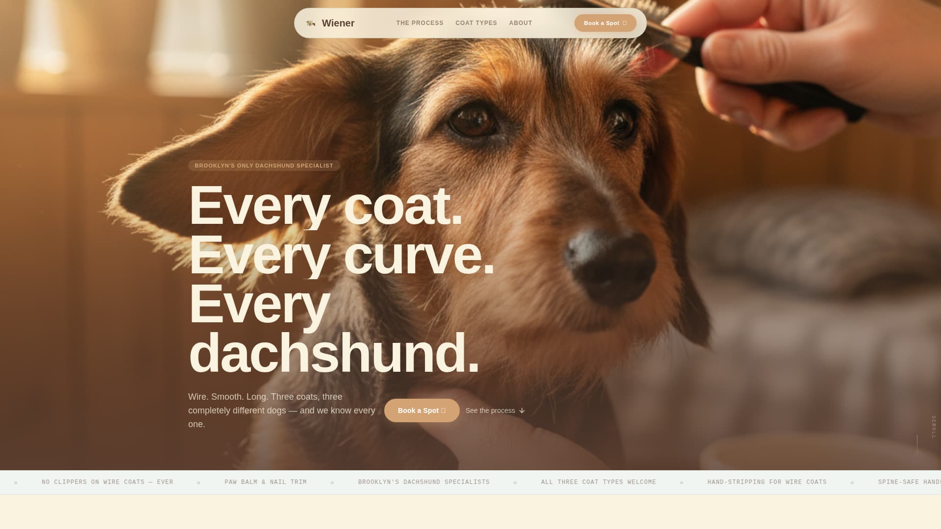 Dog Booking Website Template