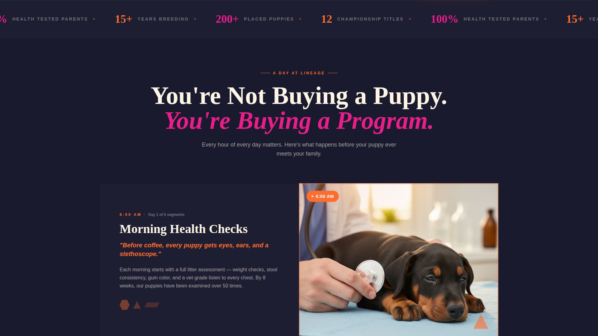 Doberman Booking Website Template