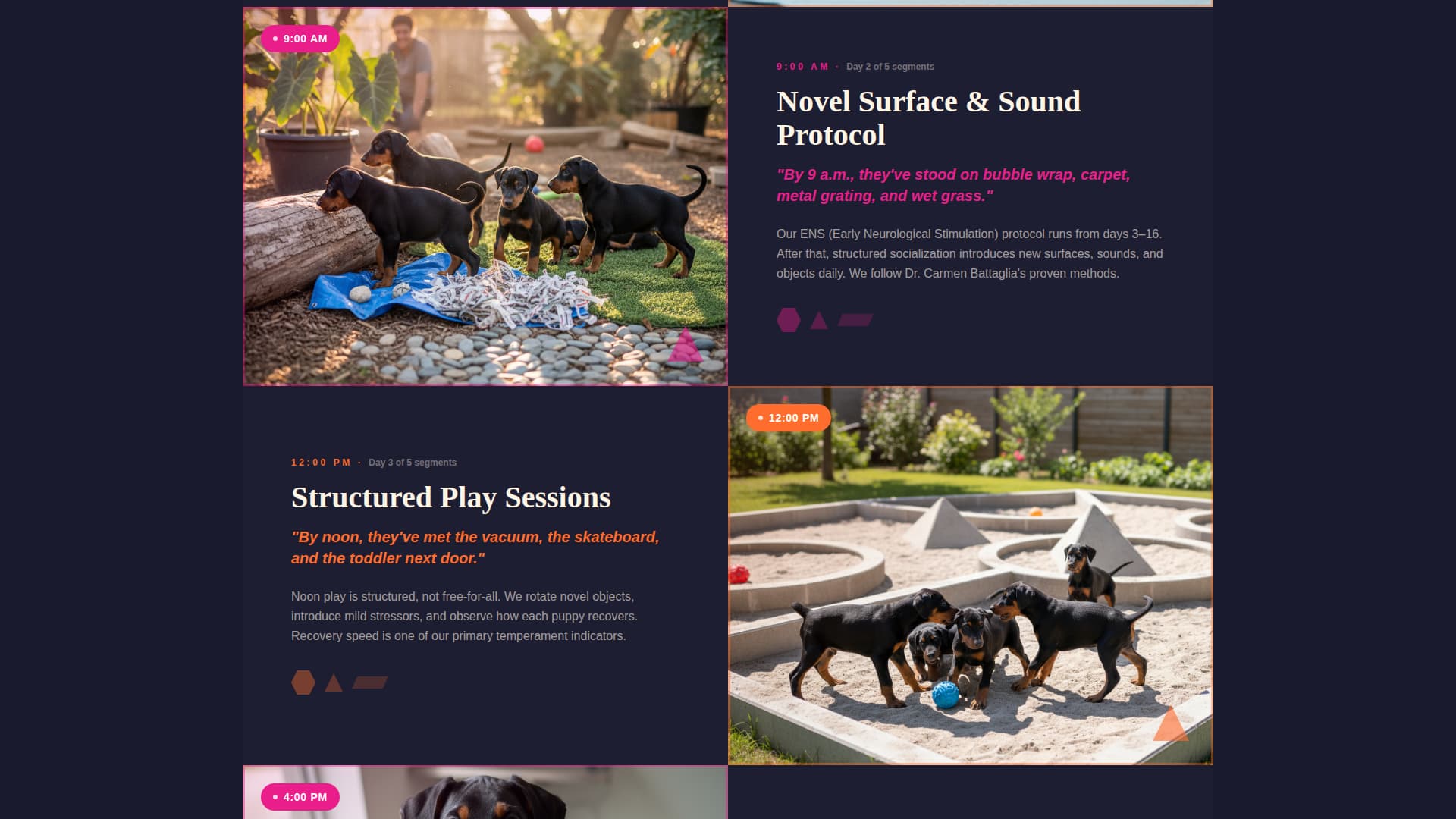 Doberman Booking Website Template