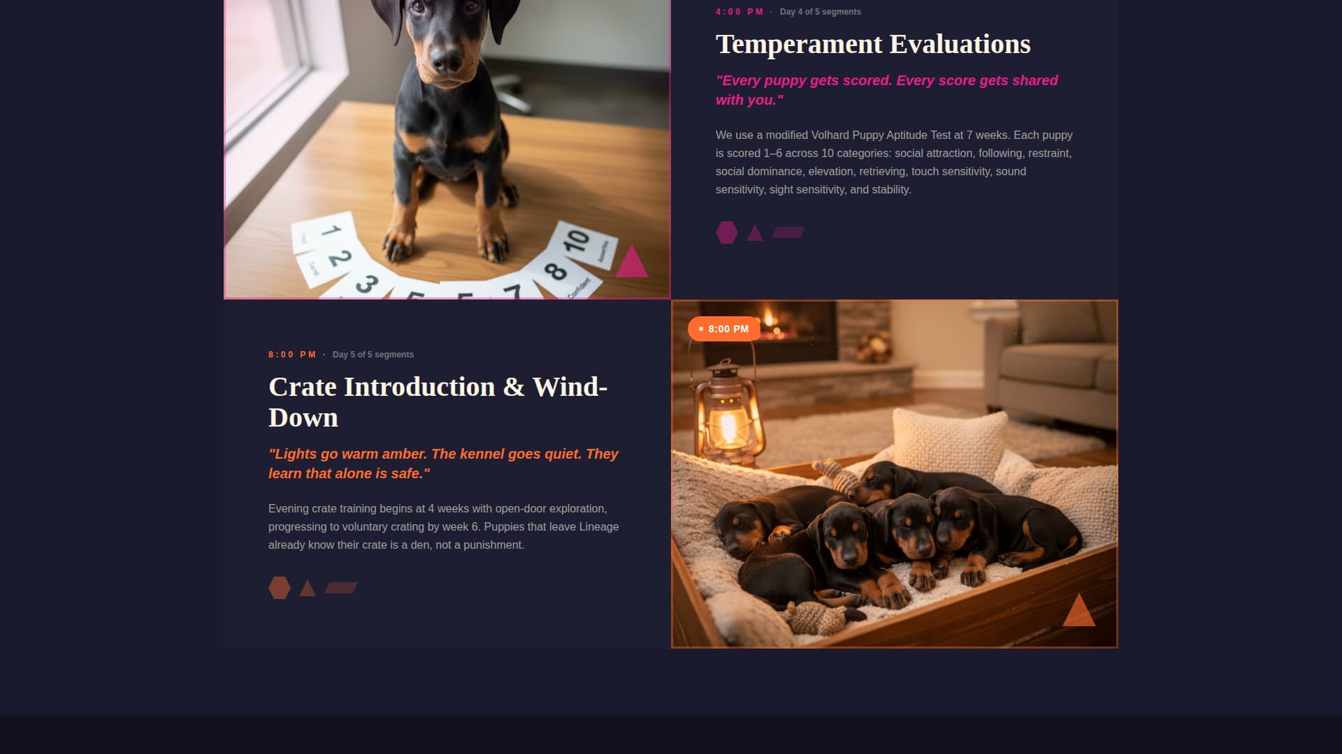 Doberman Booking Website Template