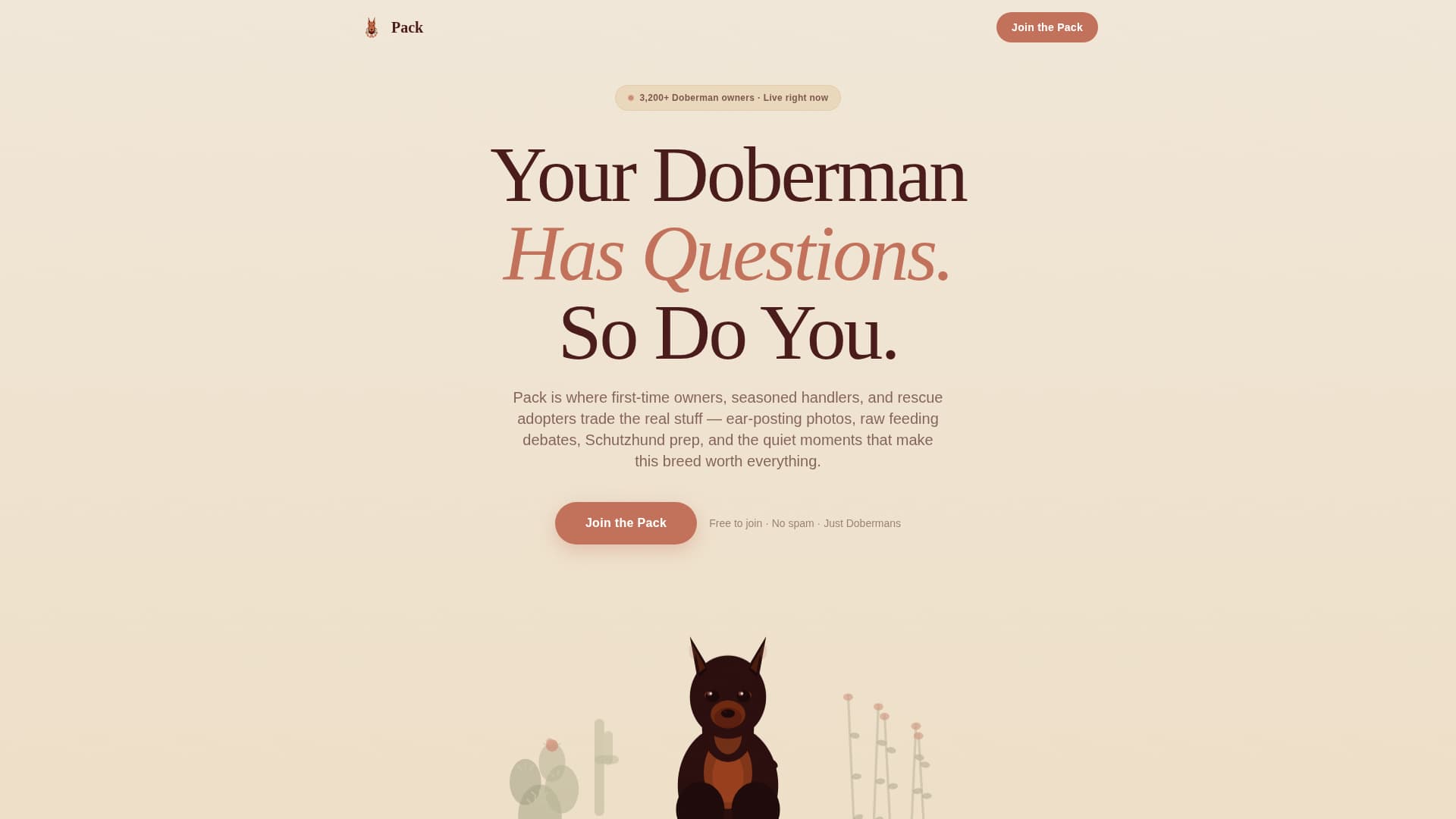 Doberman Professional Website Template