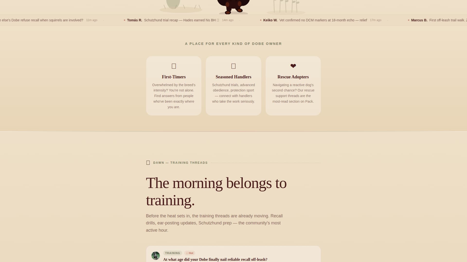 Doberman Professional Website Template