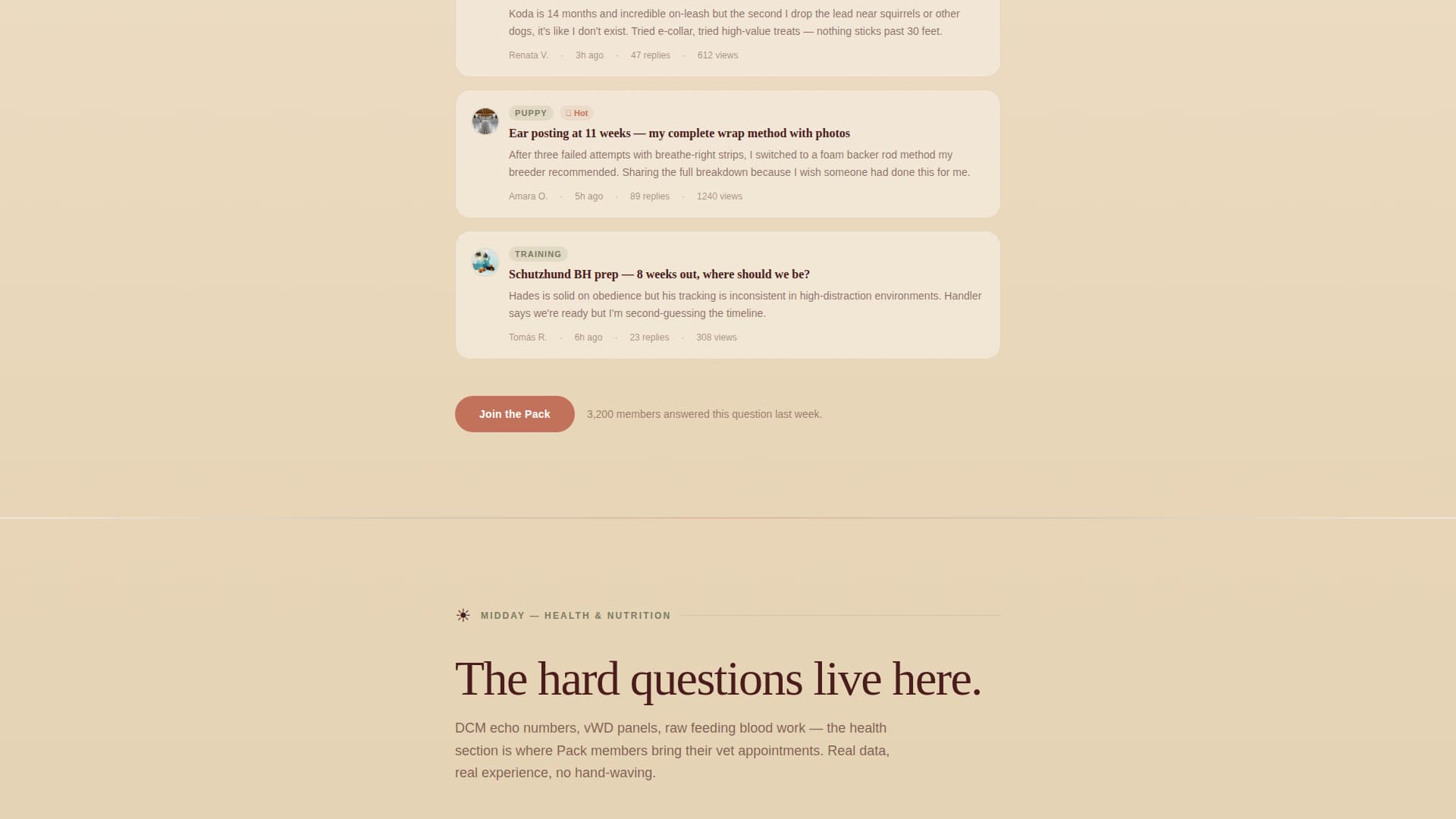 Doberman Professional Website Template