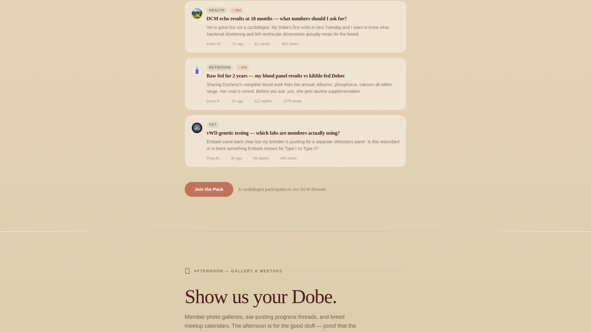 Doberman Professional Website Template