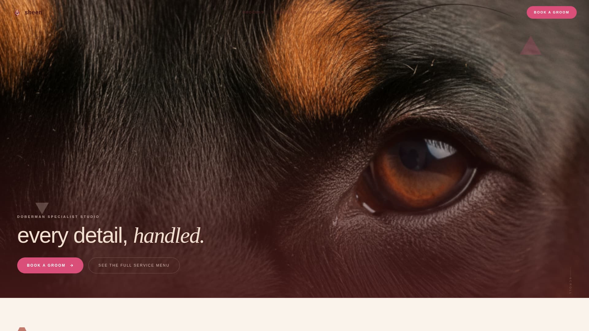 Doberman Specialist Booking Website Template