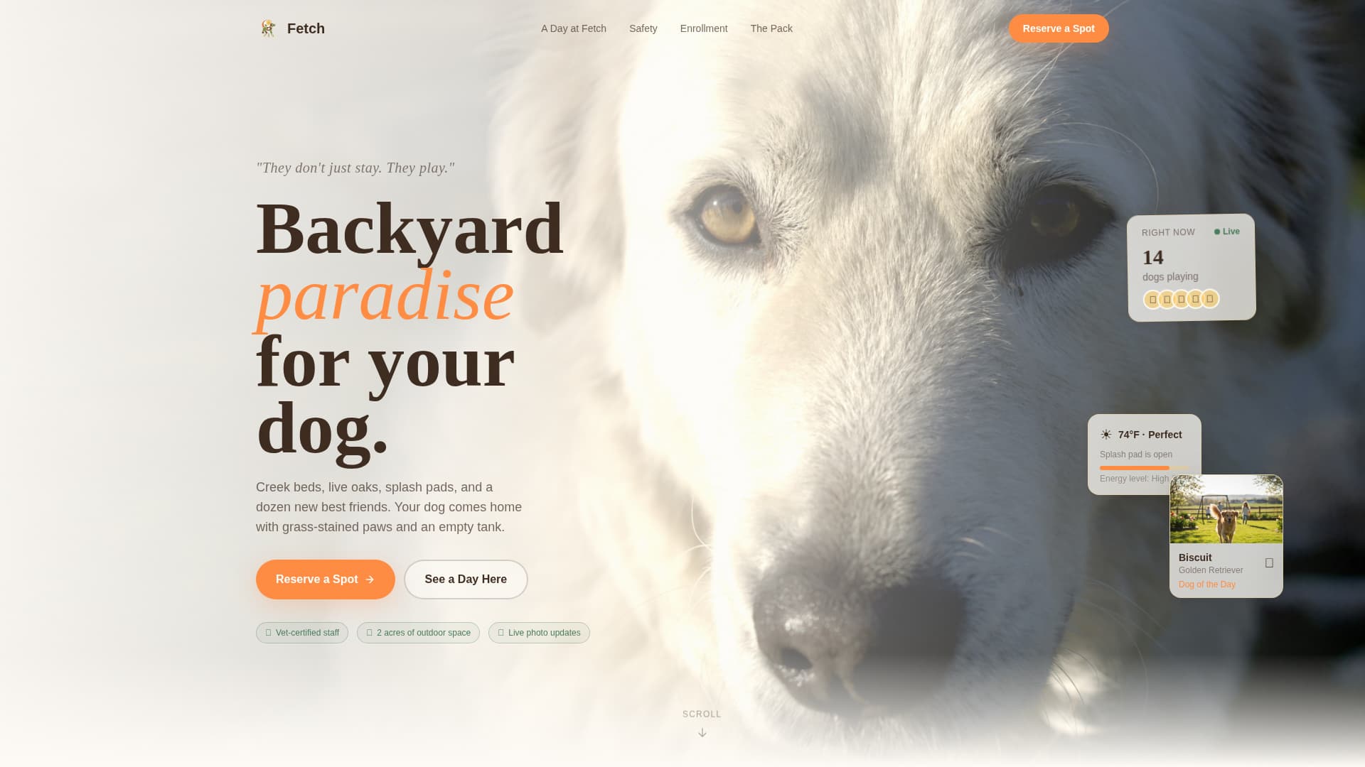Pet Boarding & Daycare Booking Website Template