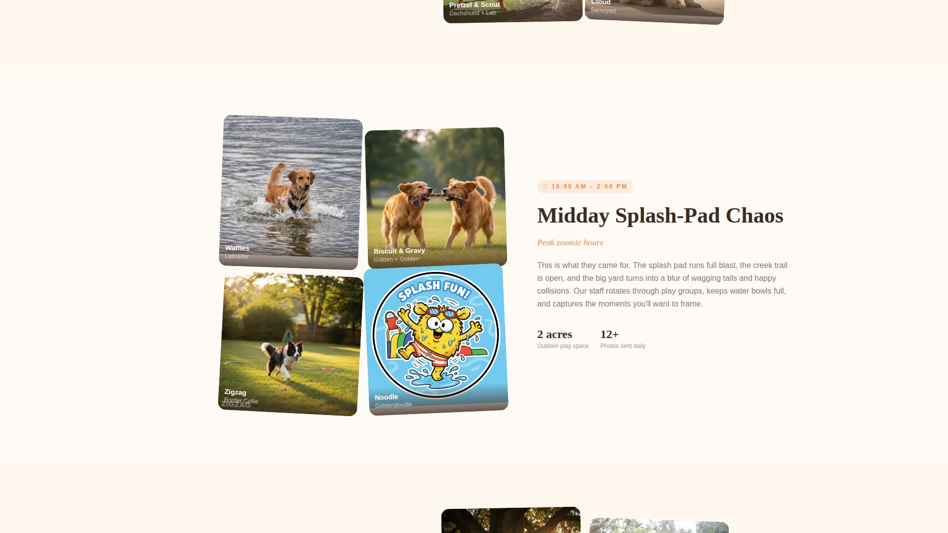 Pet Boarding & Daycare Booking Website Template