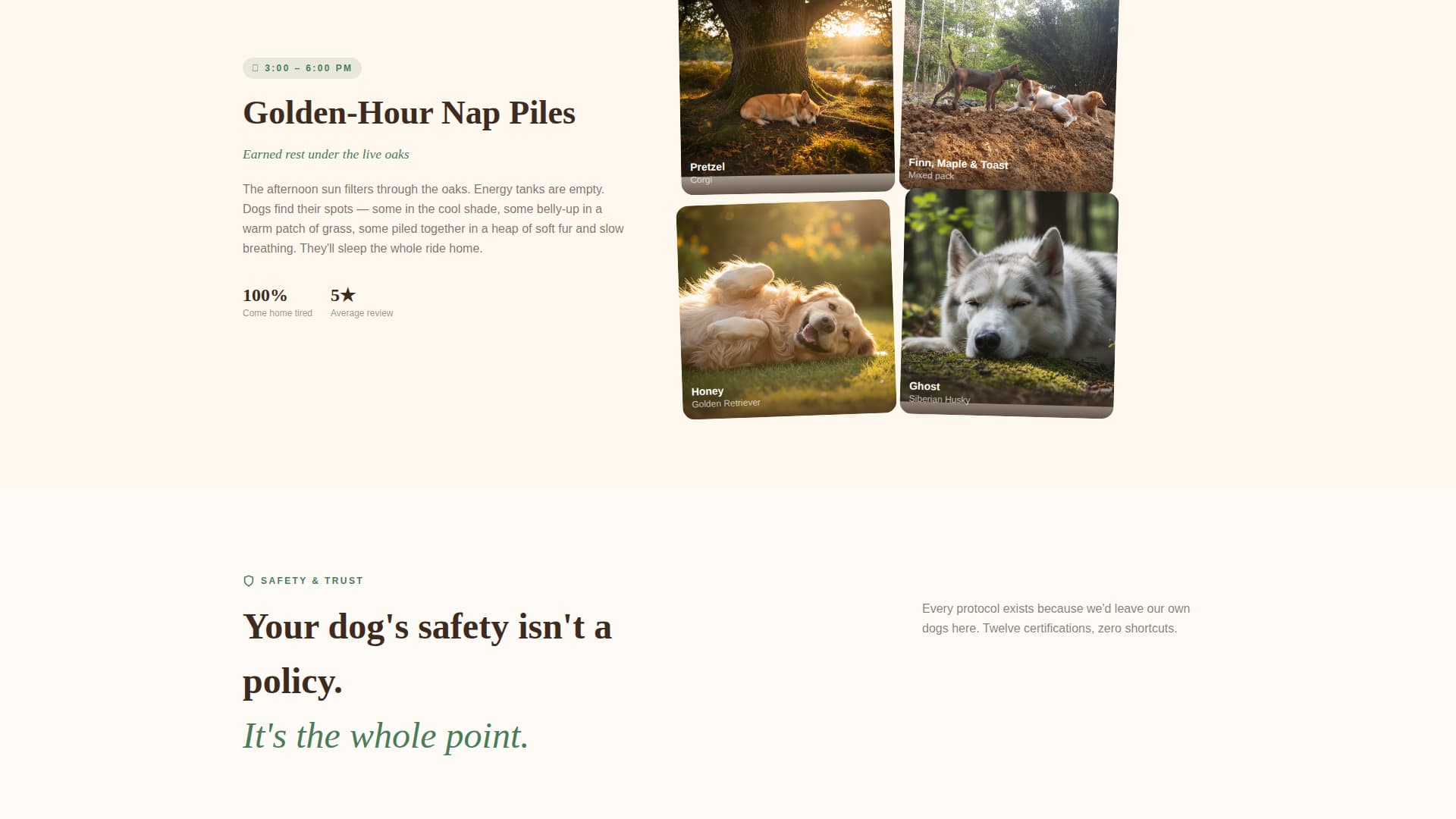 Pet Boarding & Daycare Booking Website Template