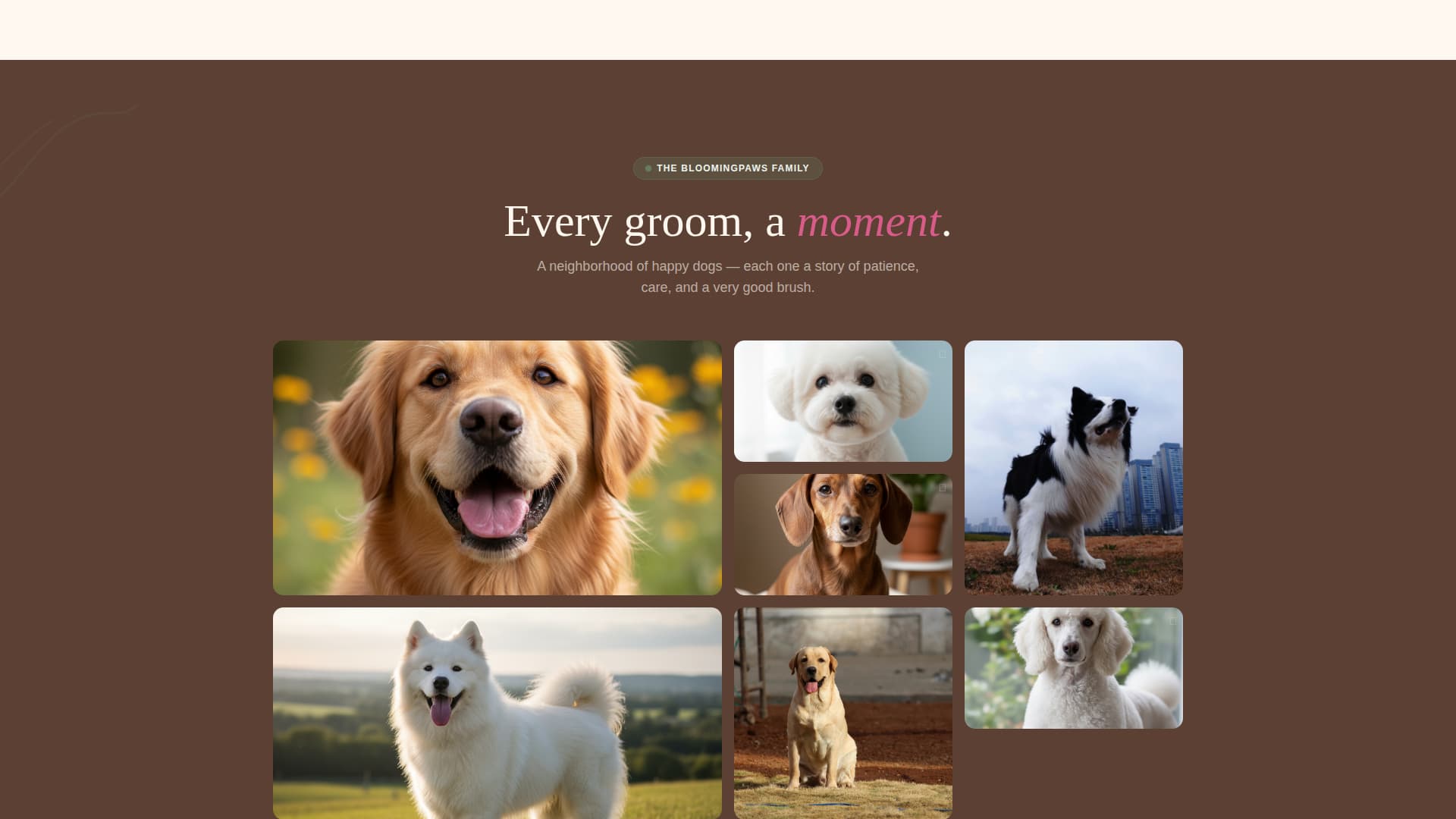 Dog Booking Website Template