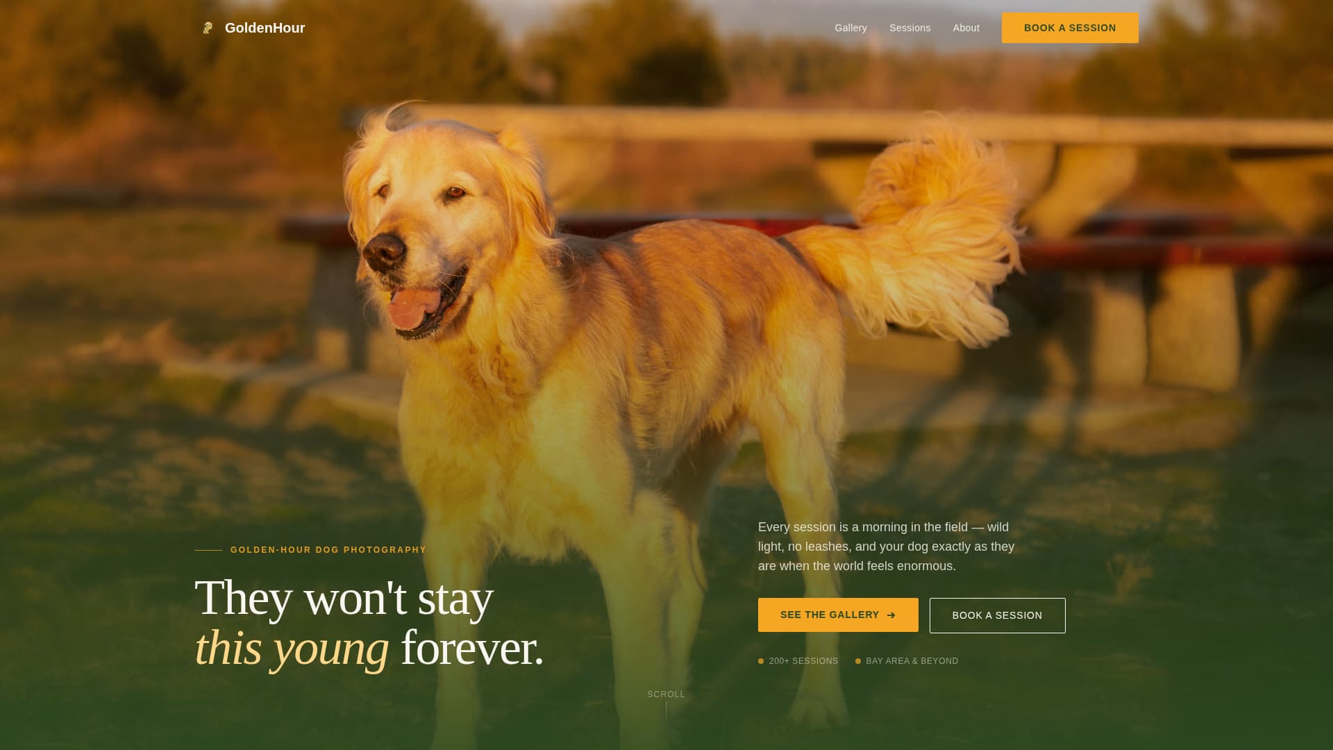 Fetch - Vibrant Dogphotography Landing Page Template
