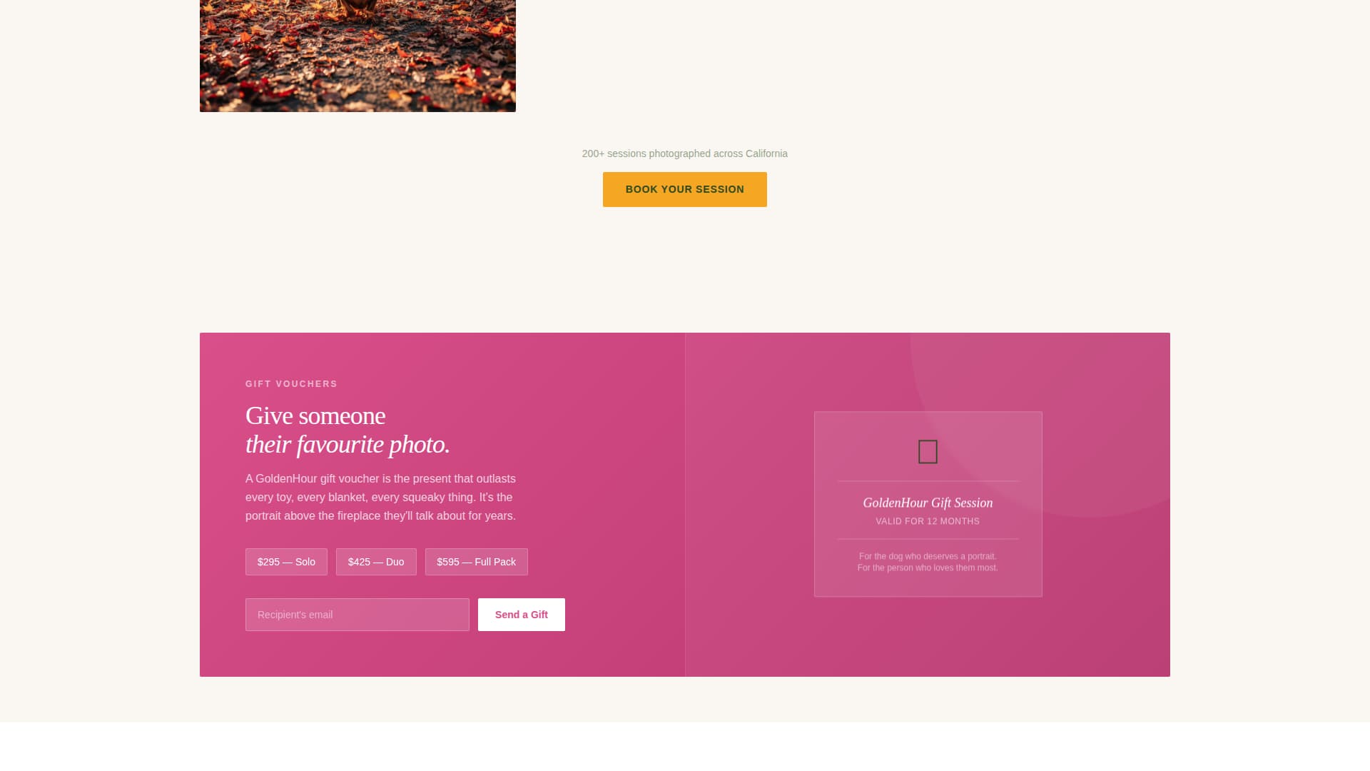 Fetch - Vibrant Dogphotography Landing Page Template