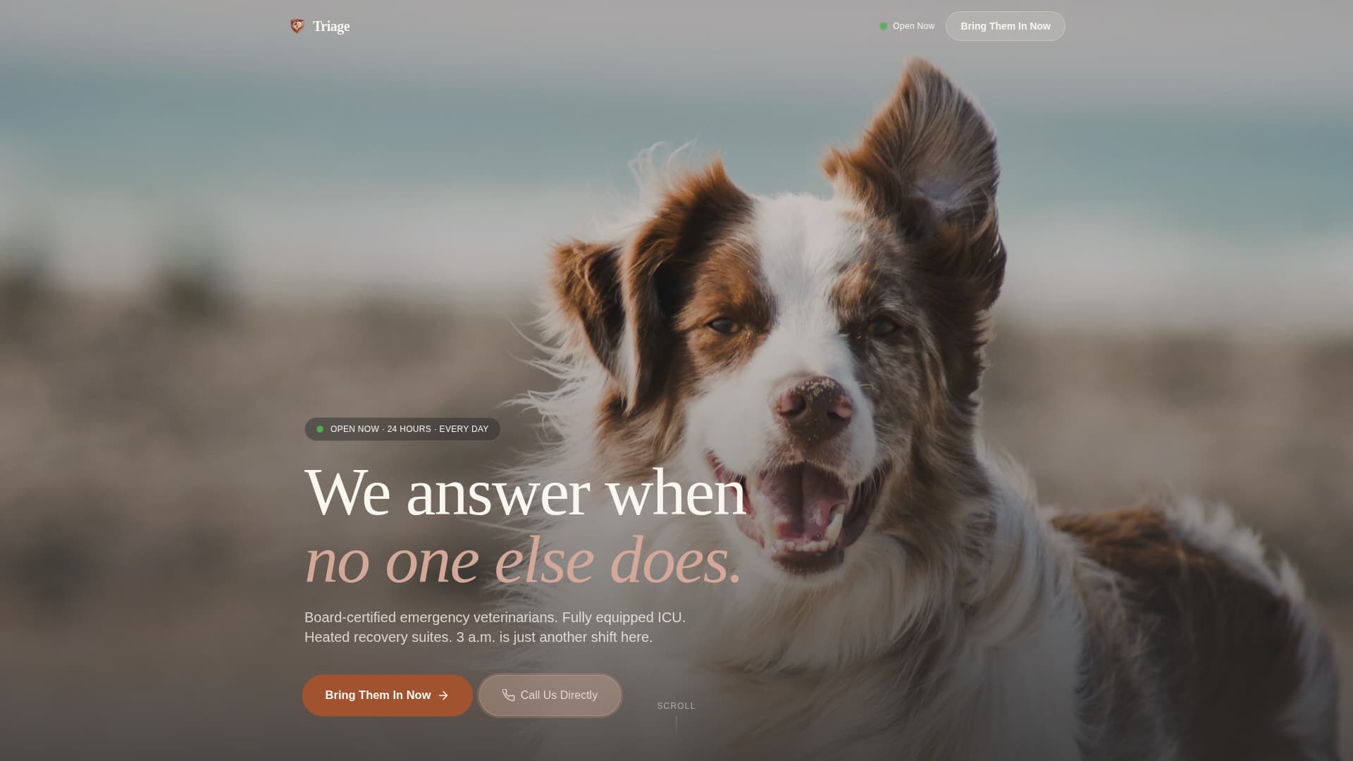 Triage - Trusted Emergencyvet Landing Page Template