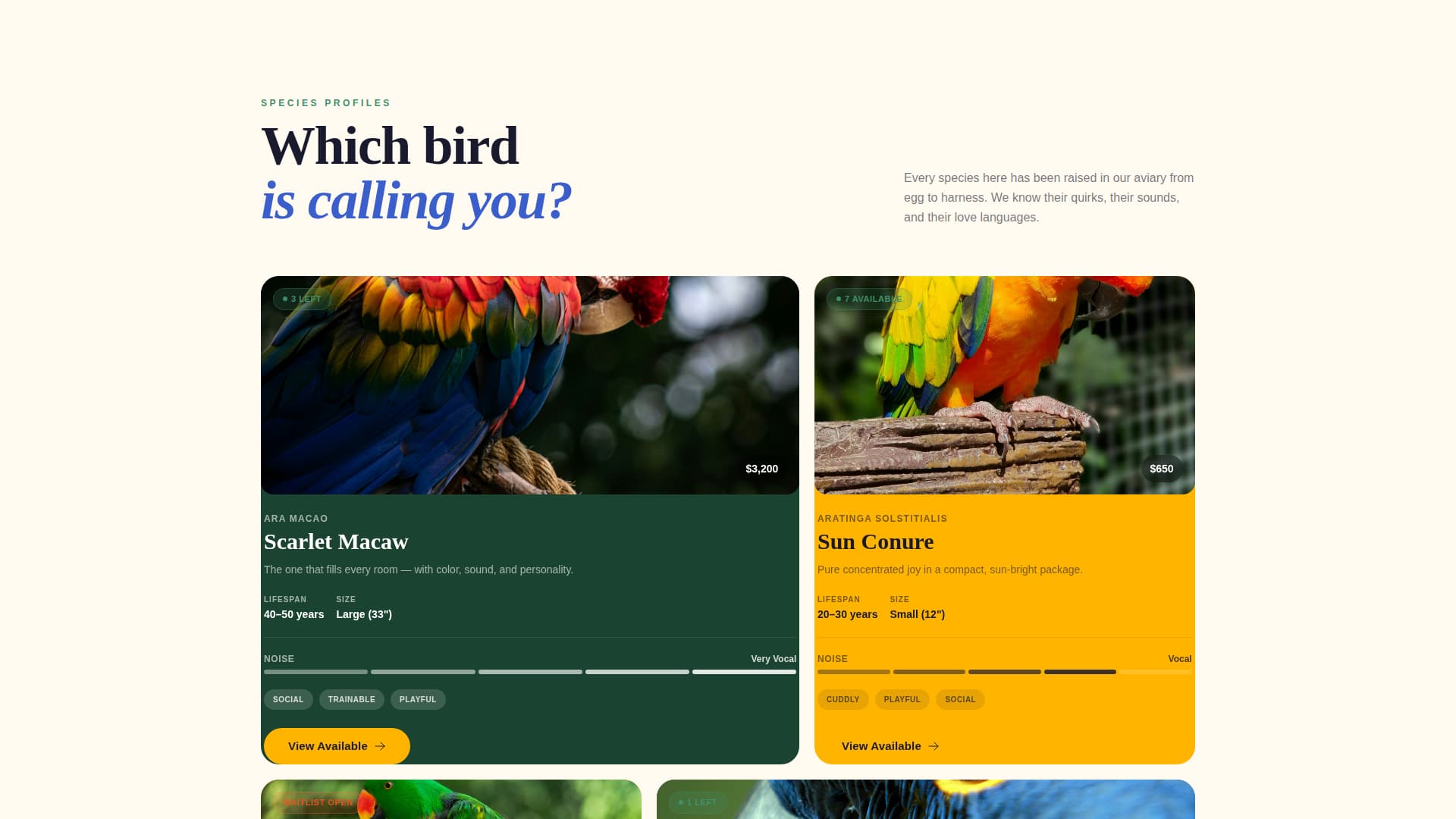 Plume - Vibrant Aviary Landing Page Template