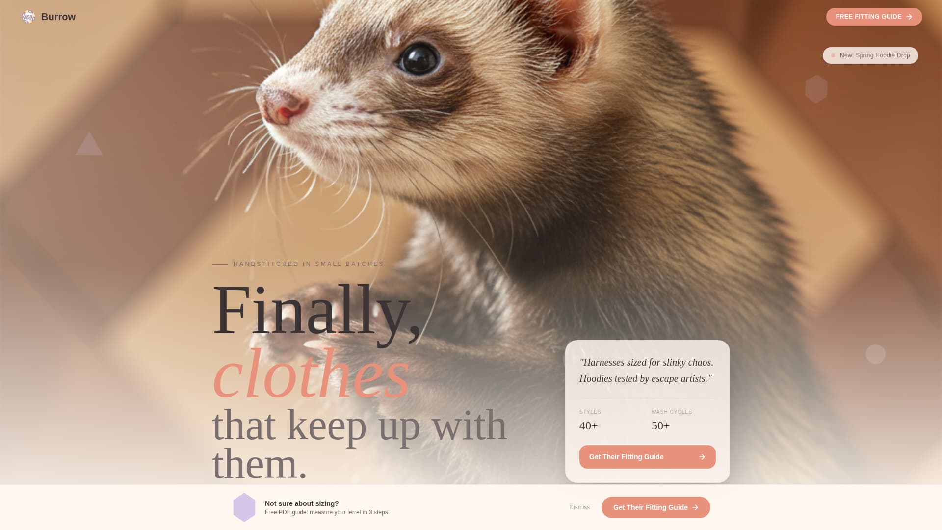 Burrow - Playful Ferret Landing Page Template
