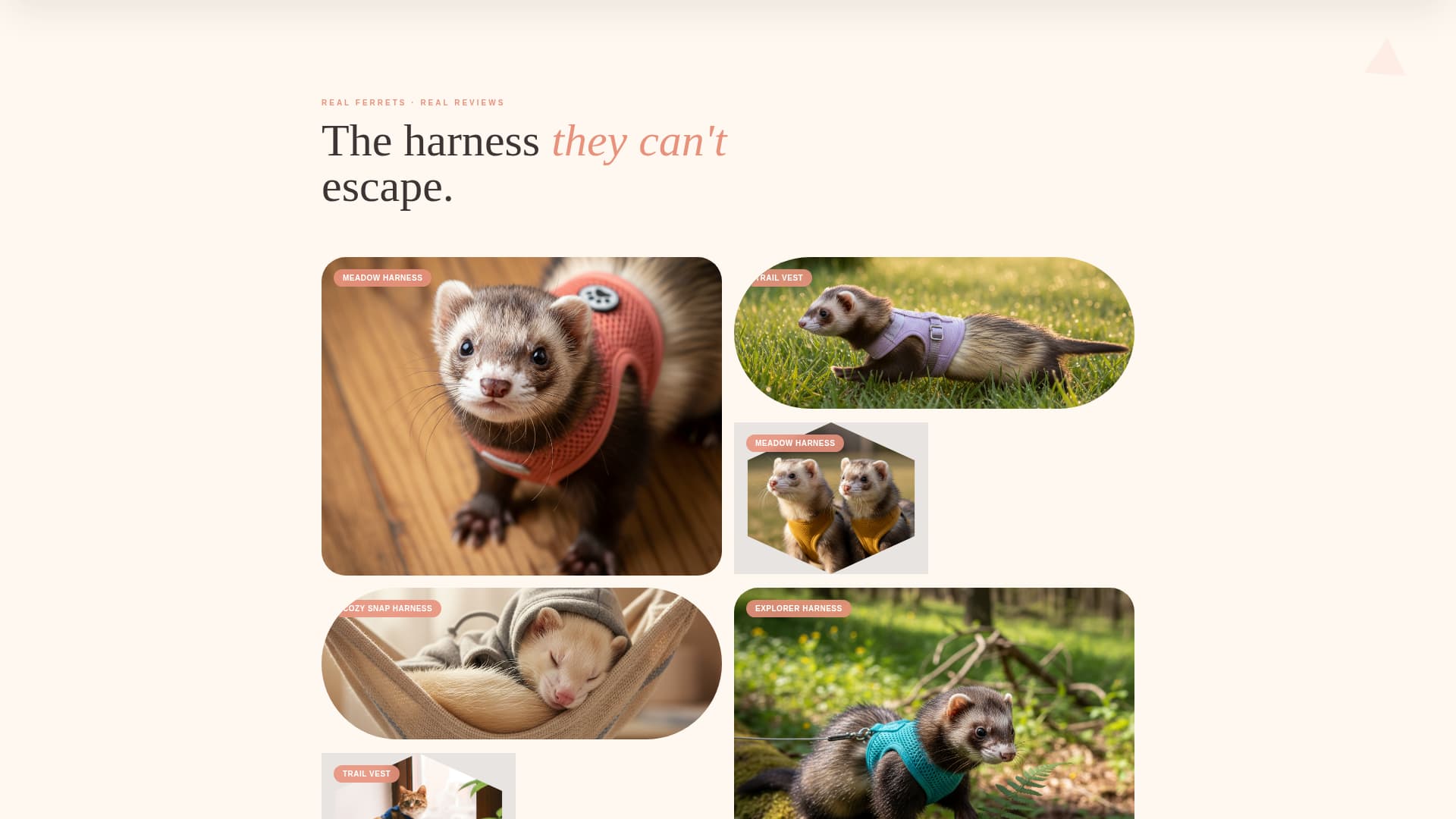 Burrow - Playful Ferret Landing Page Template