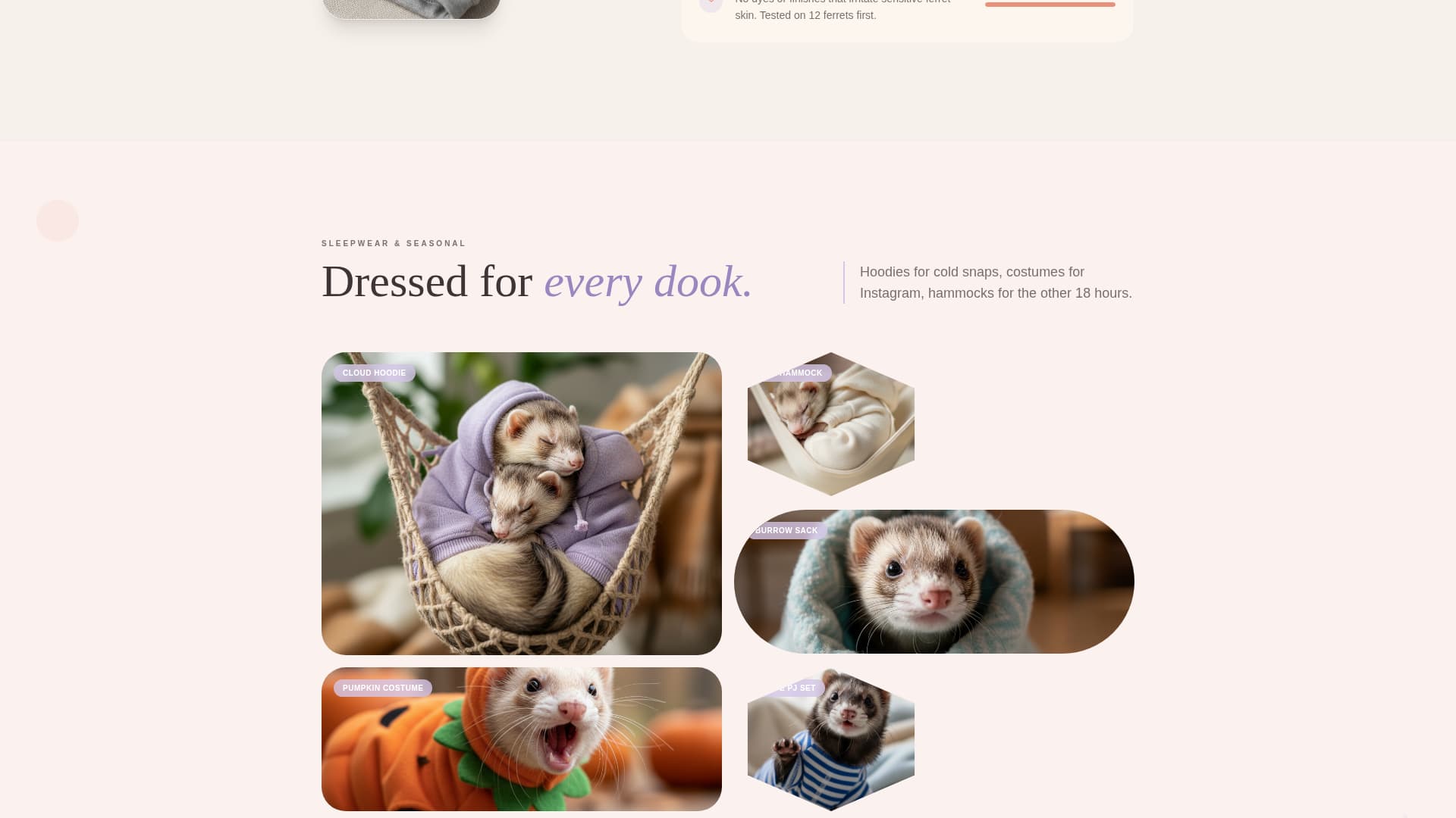 Burrow - Playful Ferret Landing Page Template