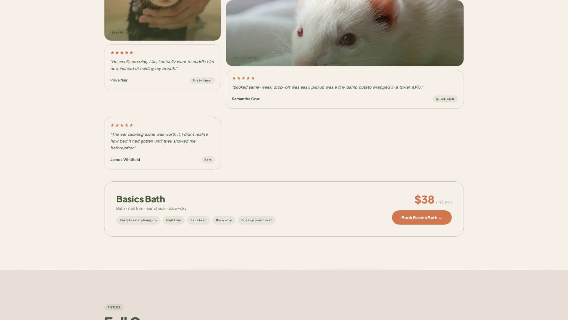 Nuzzle - Cozy Ferretgrooming Landing Page Template