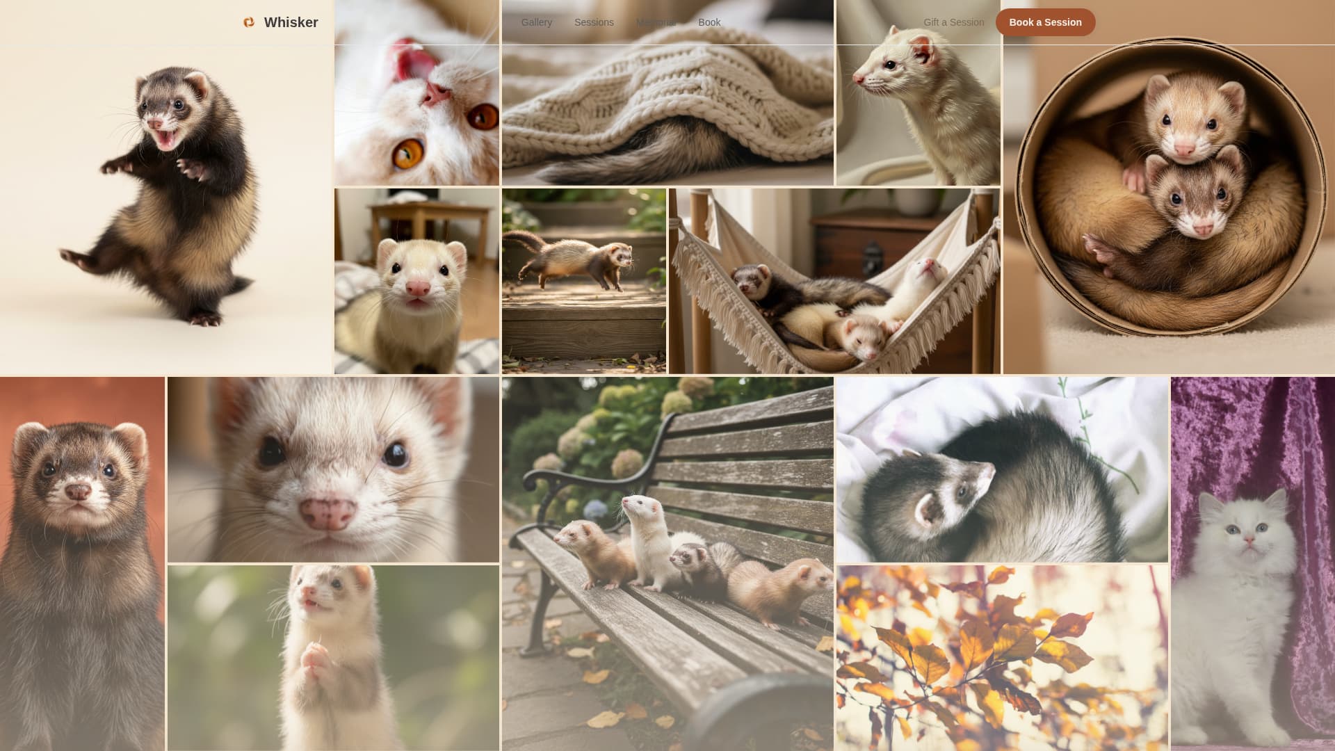 Whisker - Heartfelt Ferretphotography Landing Page Template