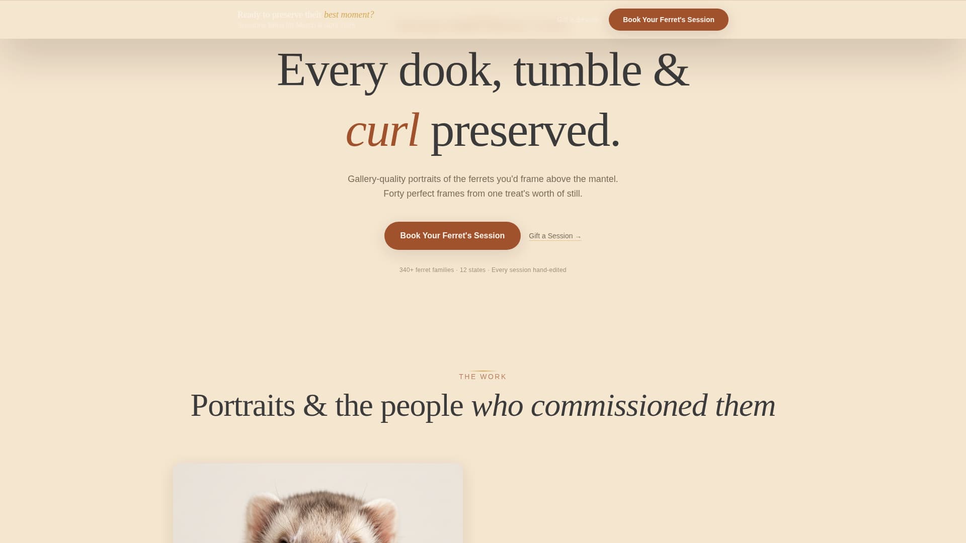 Whisker - Heartfelt Ferretphotography Landing Page Template