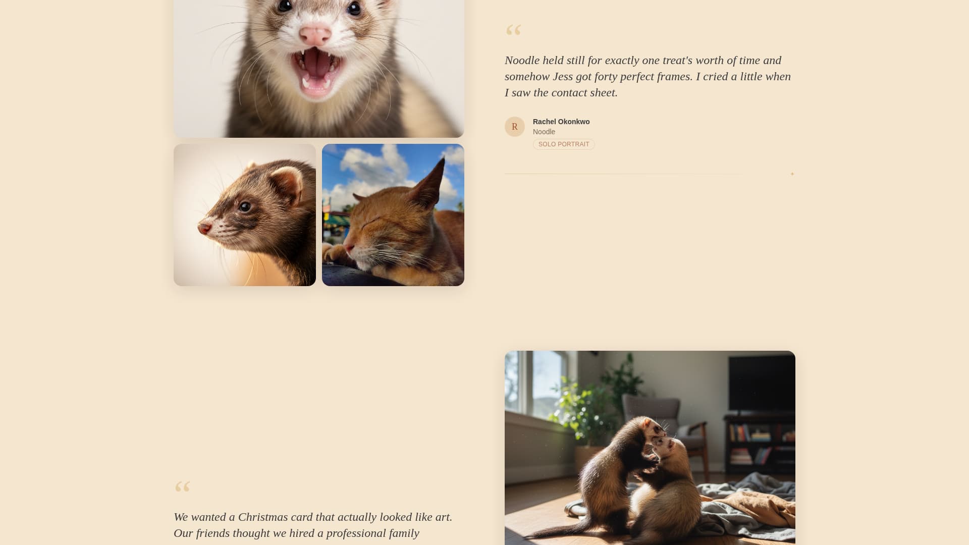 Whisker - Heartfelt Ferretphotography Landing Page Template