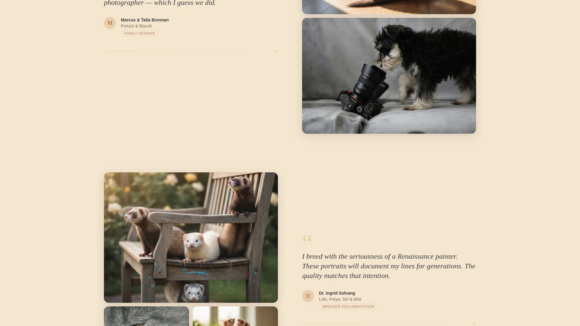 Whisker - Heartfelt Ferretphotography Landing Page Template