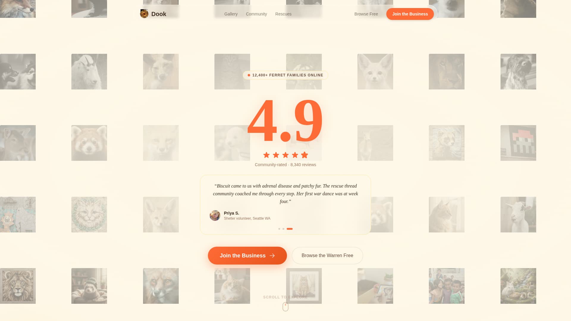 Dook - Vibrant Ferretcommunity Landing Page Template