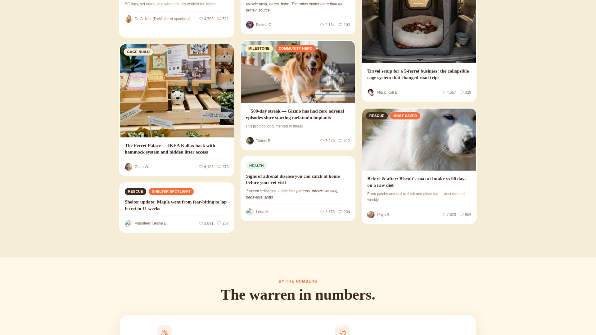 Dook - Vibrant Ferretcommunity Landing Page Template