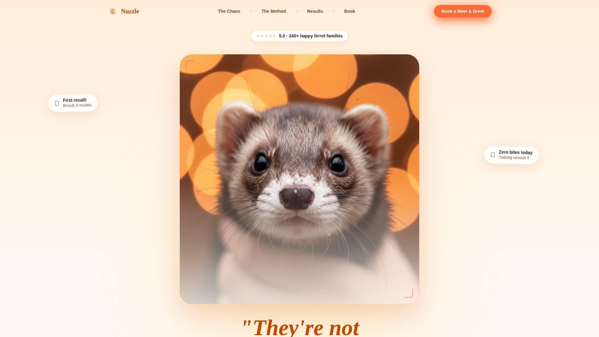 Nuzzle - Cheerful Ferrettraining Landing Page Template