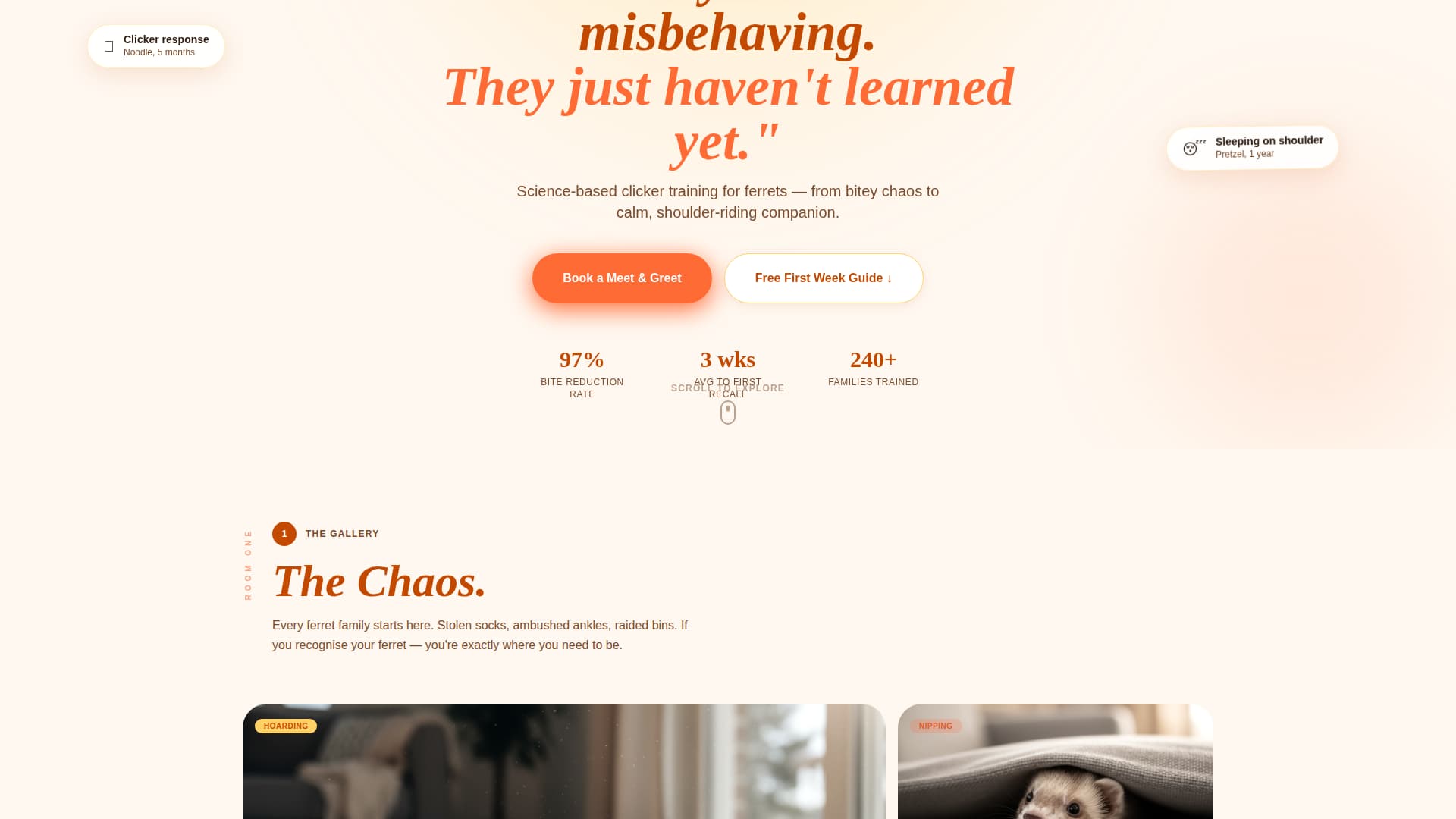 Nuzzle - Cheerful Ferrettraining Landing Page Template