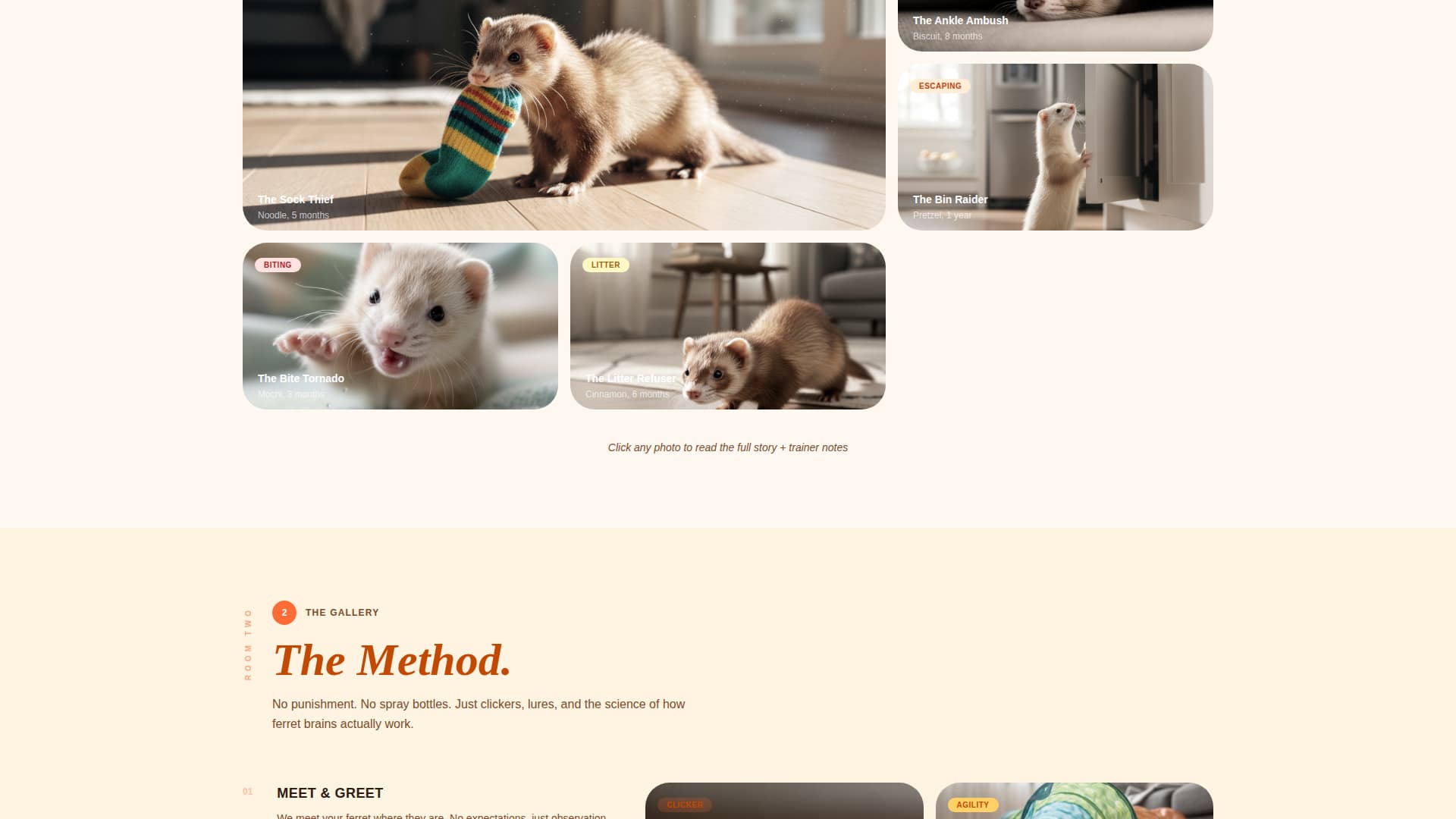 Nuzzle - Cheerful Ferrettraining Landing Page Template