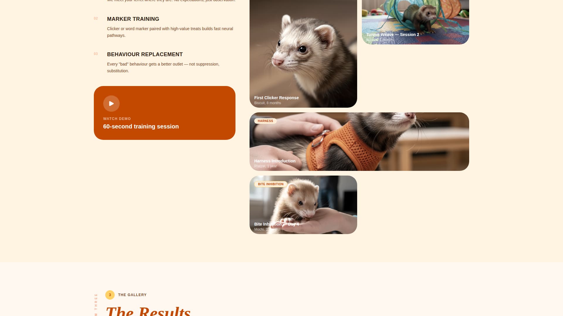 Nuzzle - Cheerful Ferrettraining Landing Page Template