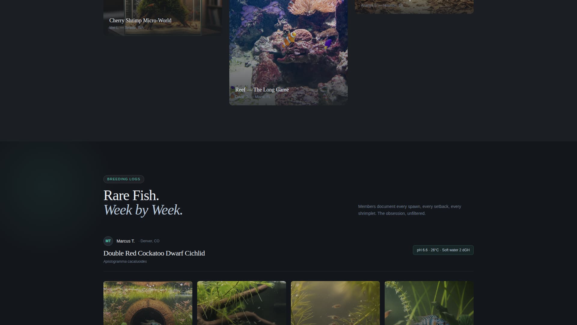 Shoal - Immersive Aquarium Landing Page Template