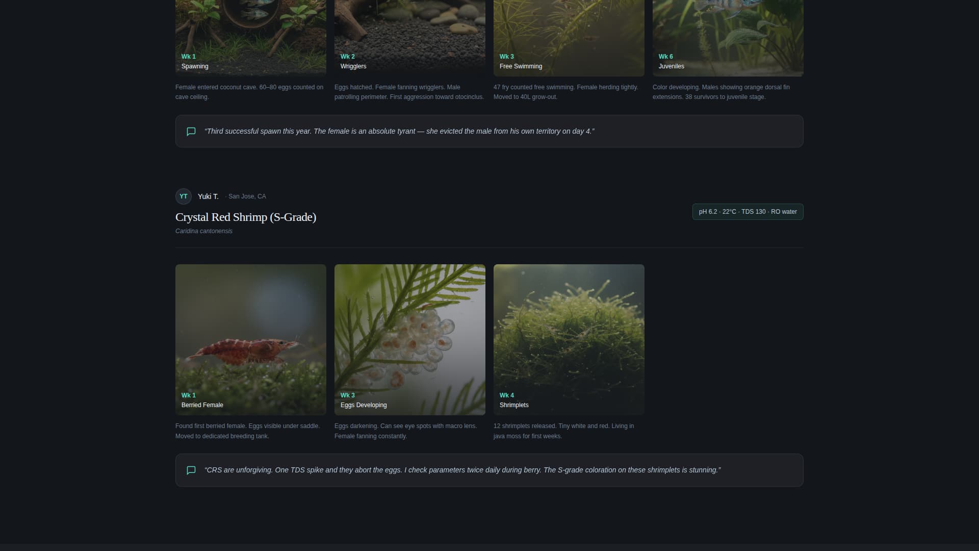 Shoal - Immersive Aquarium Landing Page Template