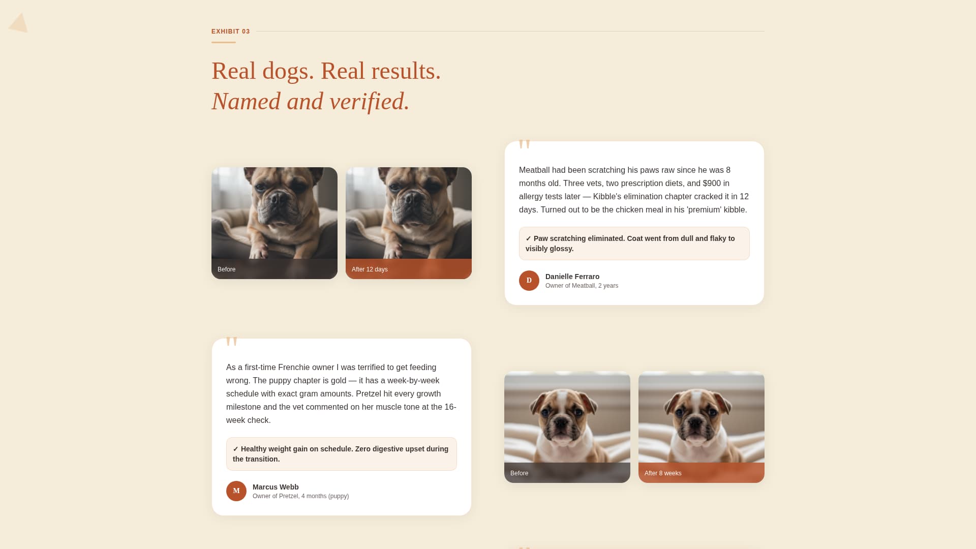 Kibble - Trusted Frenchie Landing Page Template