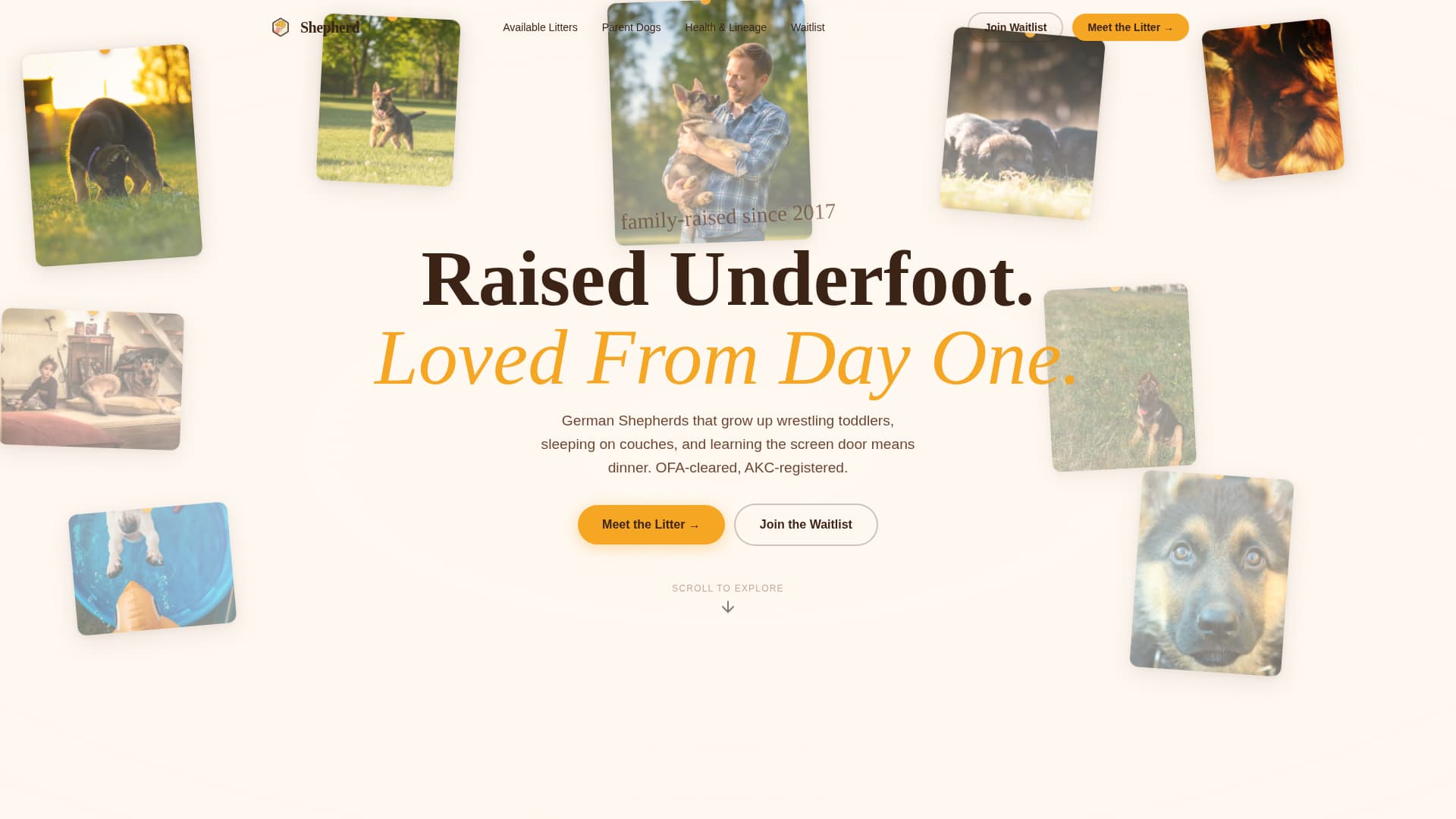 Dog Expert Professional Website Template