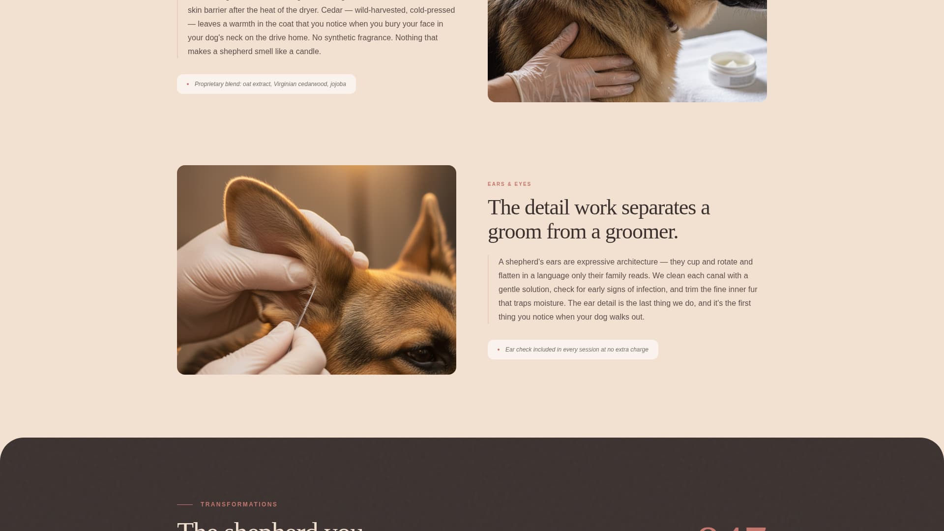 Dog Expert Booking Website Template