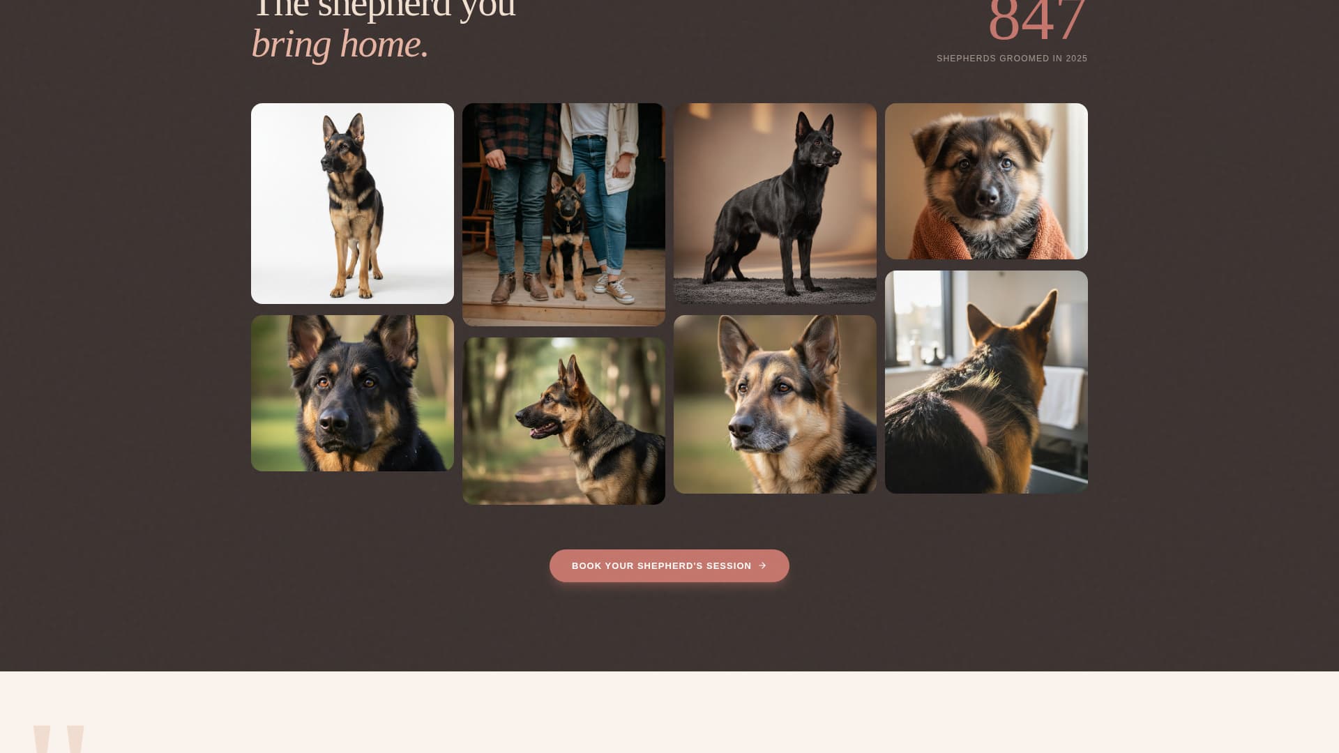 Dog Expert Booking Website Template