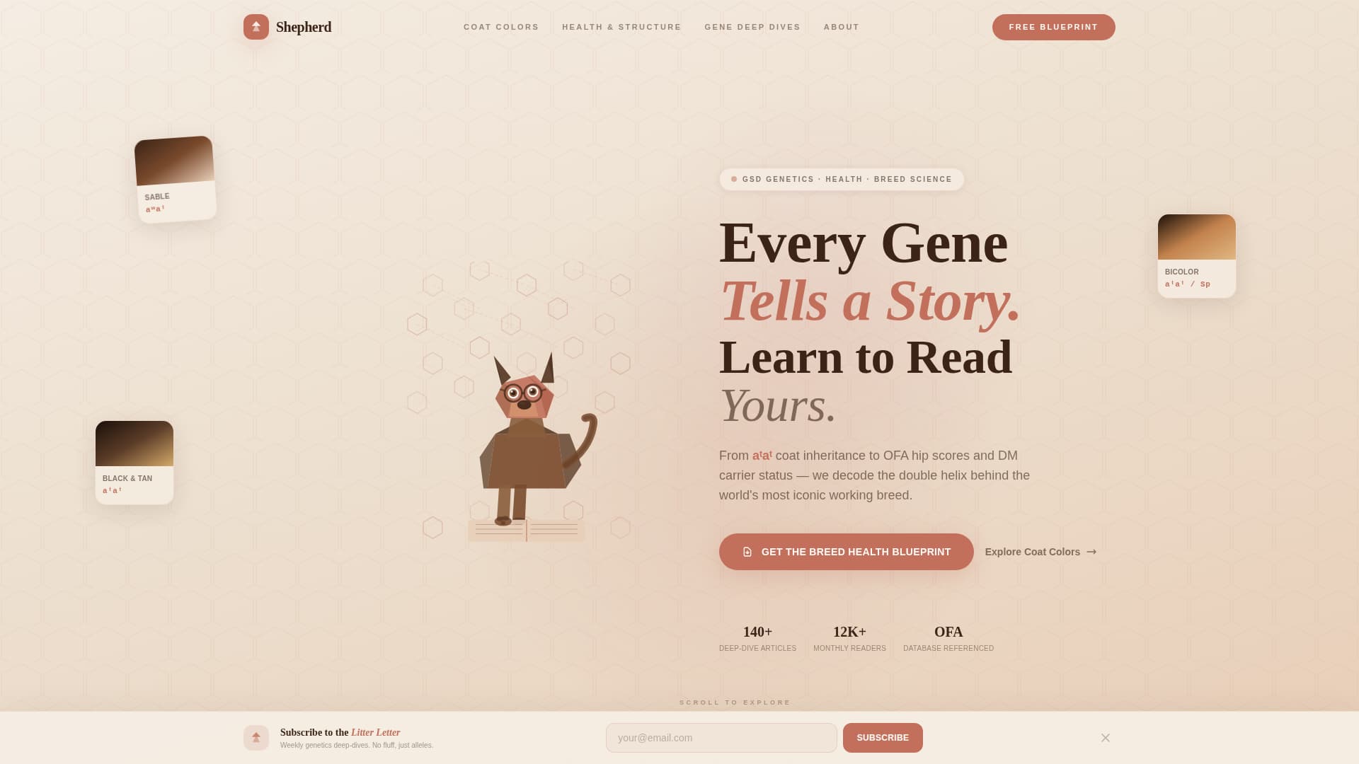 Dog Specialist Blog Website Template
