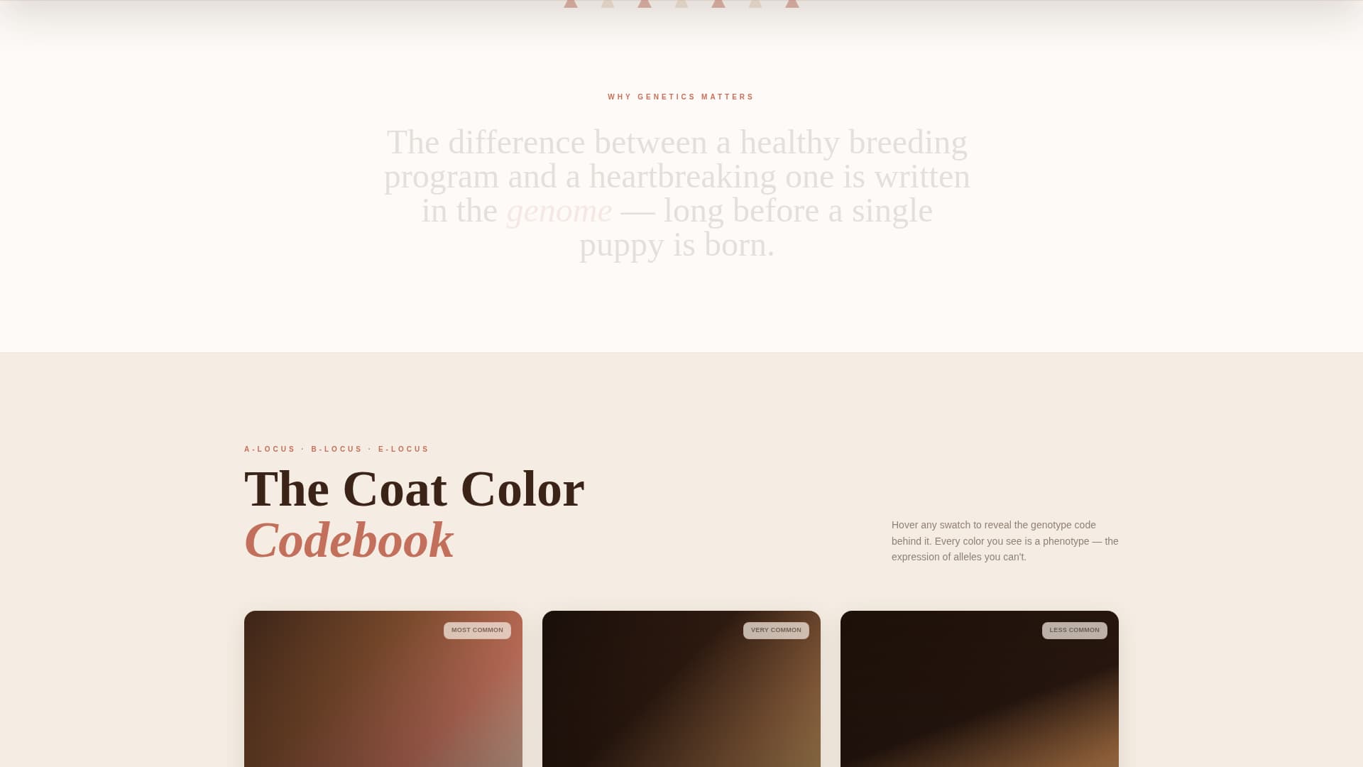 Dog Specialist Blog Website Template