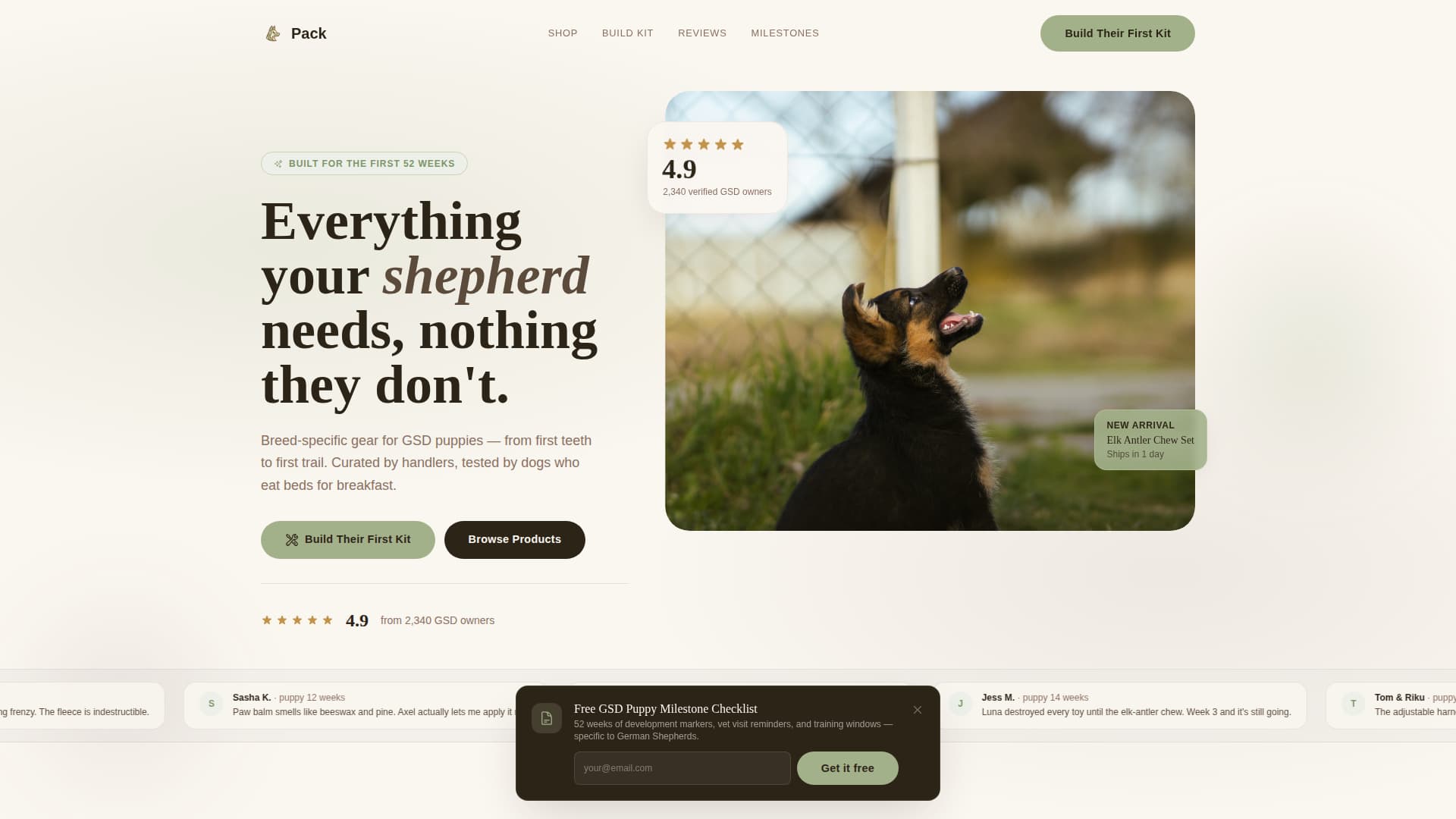 Dog Advanced Professional Website Template