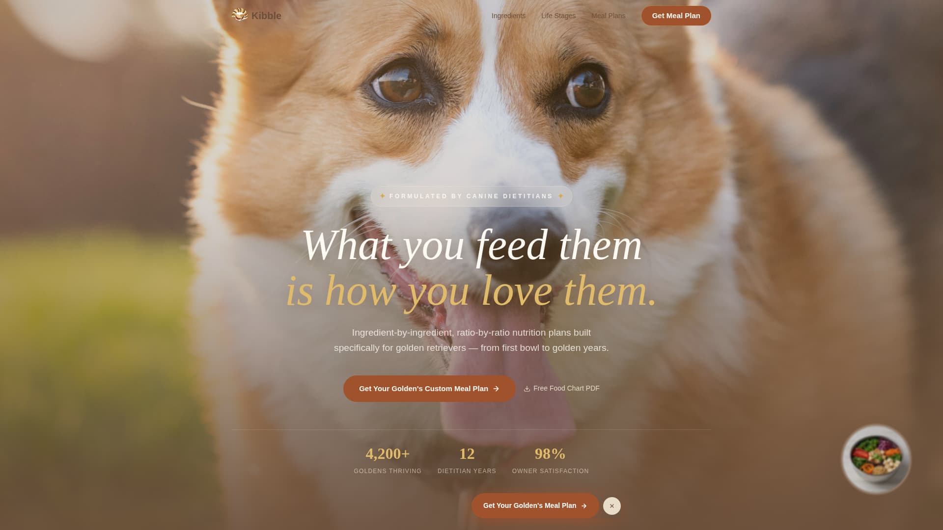Dog Local Professional Website Template