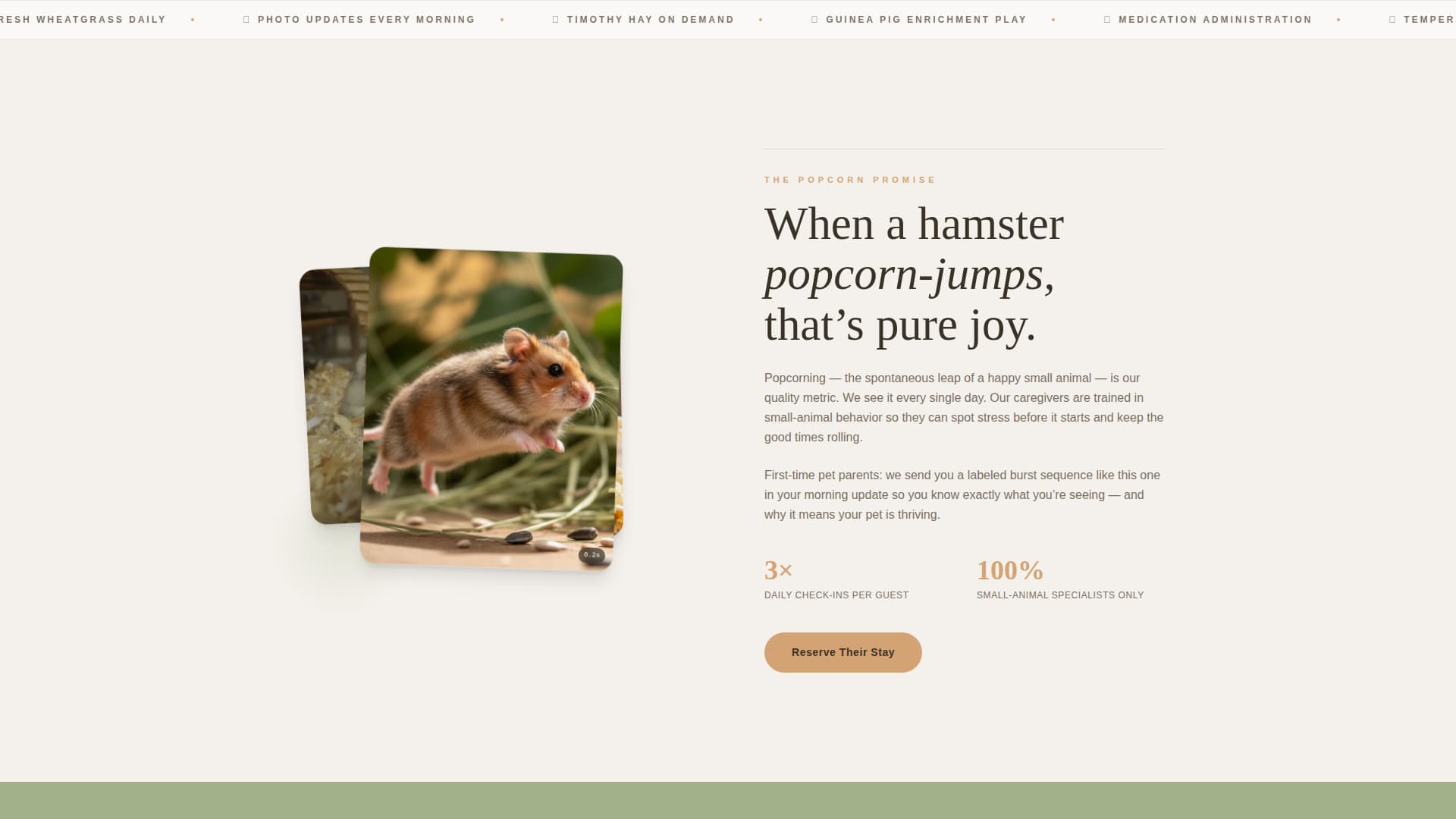Burrow - Cozy Petboarding Landing Page Template