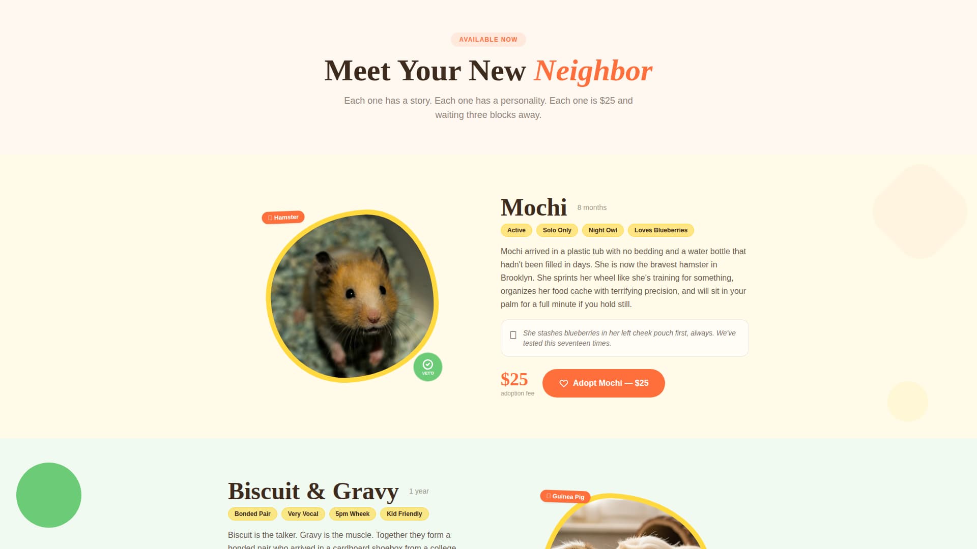 Burrow - Cheerful Rescue Landing Page Template