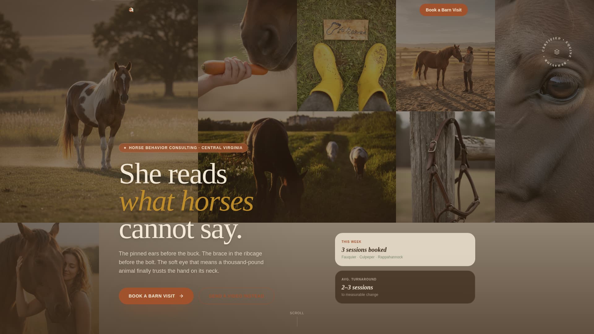 Herd - Trusted Horsebehavior Landing Page Template